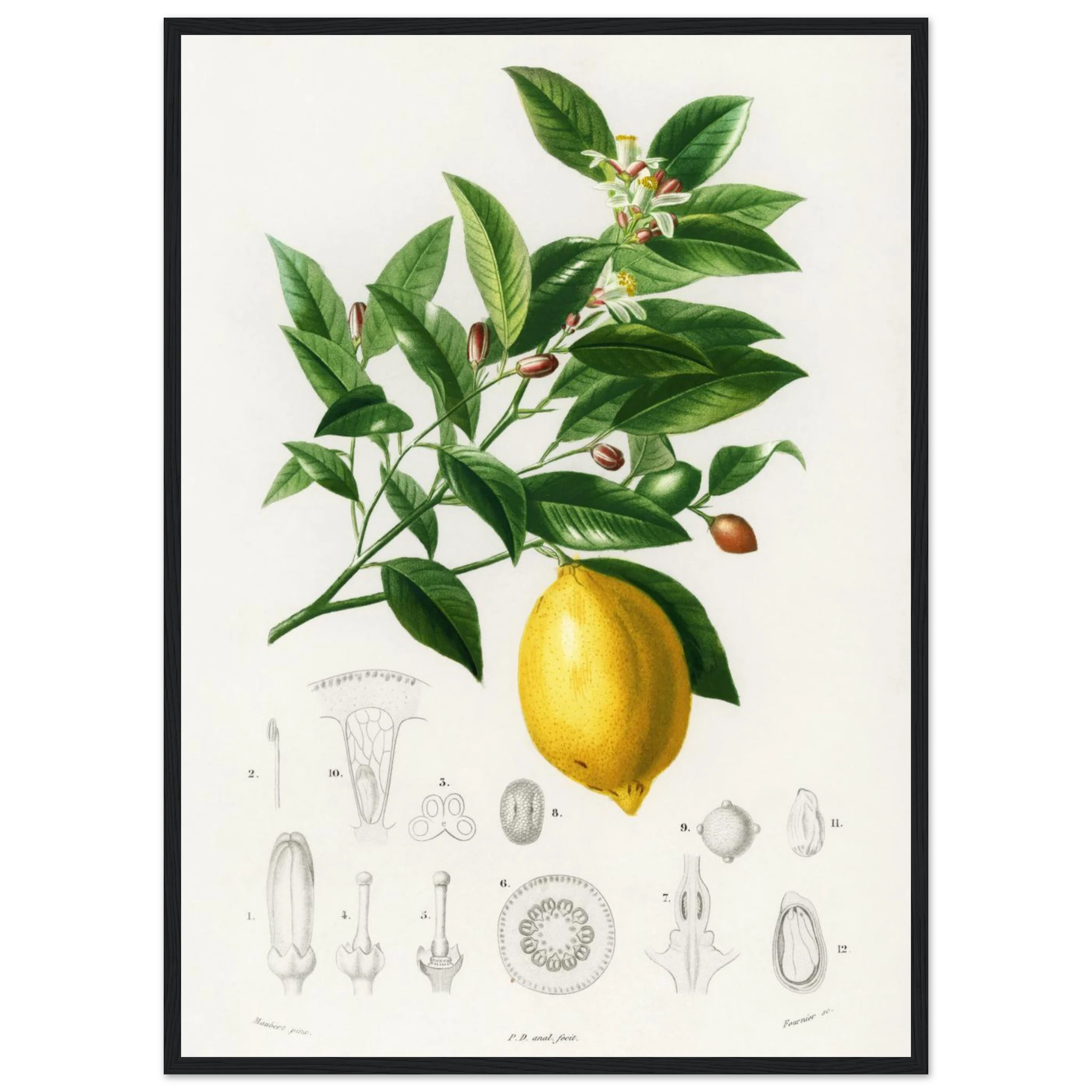 eb2b3c04-7784-49b8-ac47-91d14cde2601