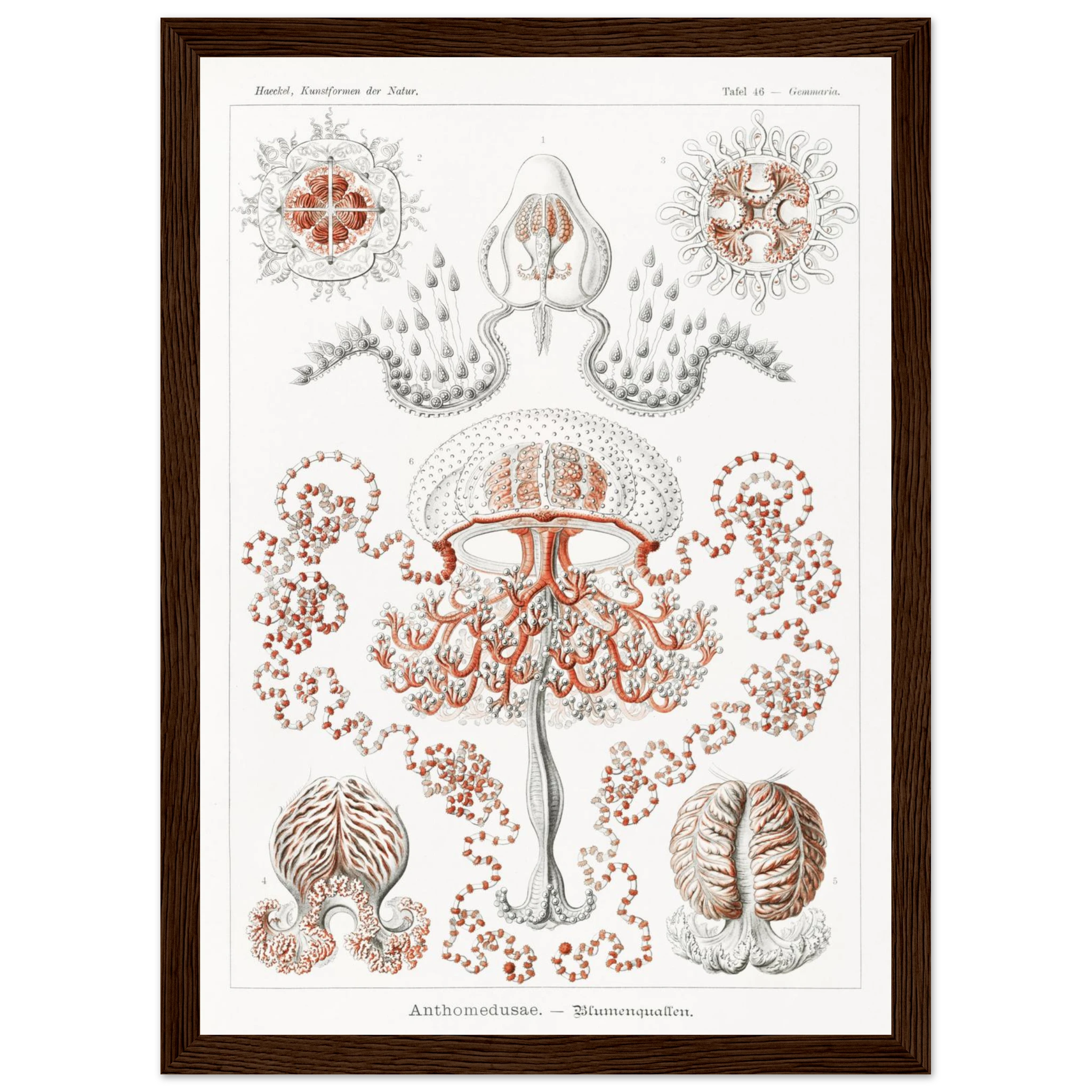 eb3bdba0-b6ff-4afa-be13-10acefd8c5f0