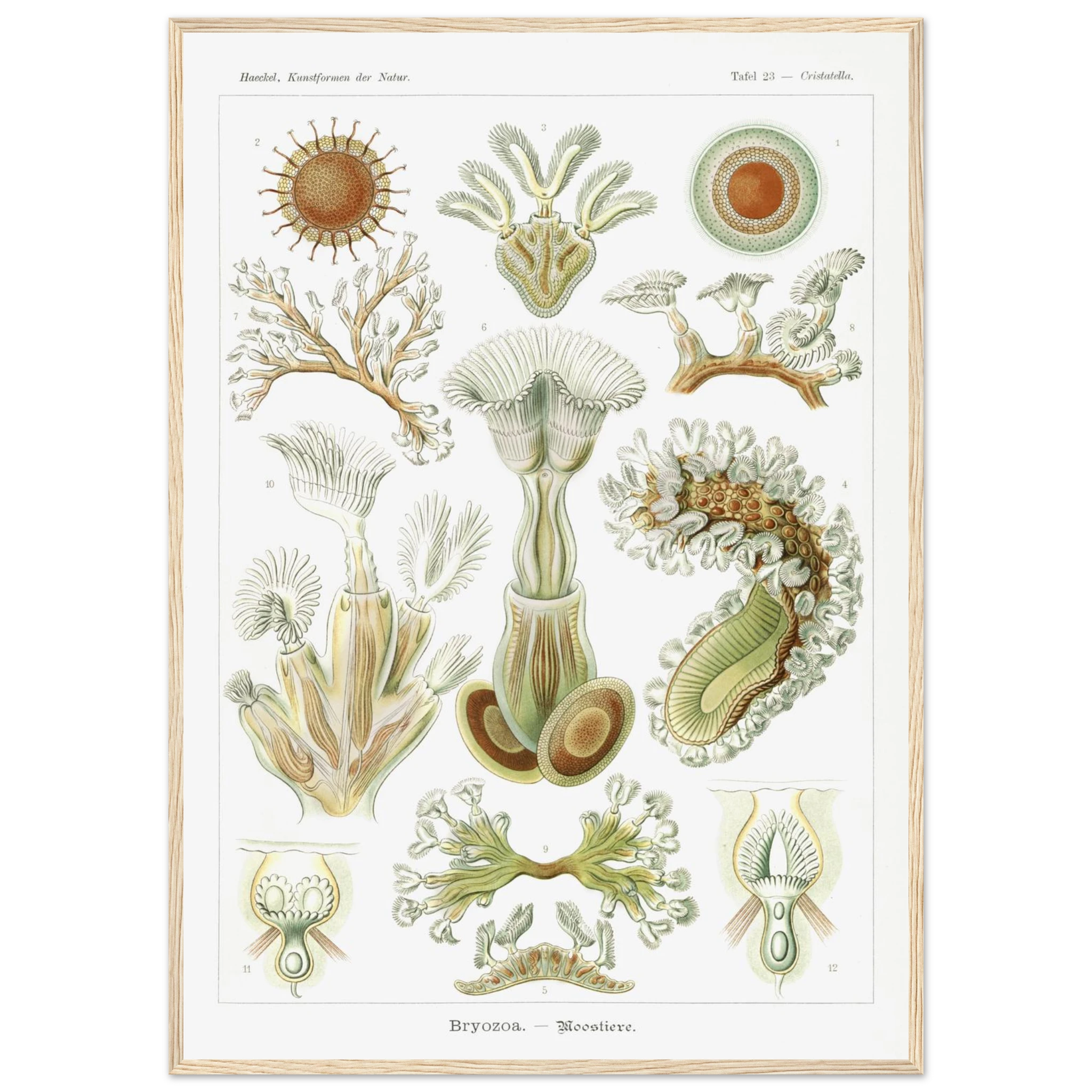 eb41533a-7464-40ef-b696-4ec765b72d08