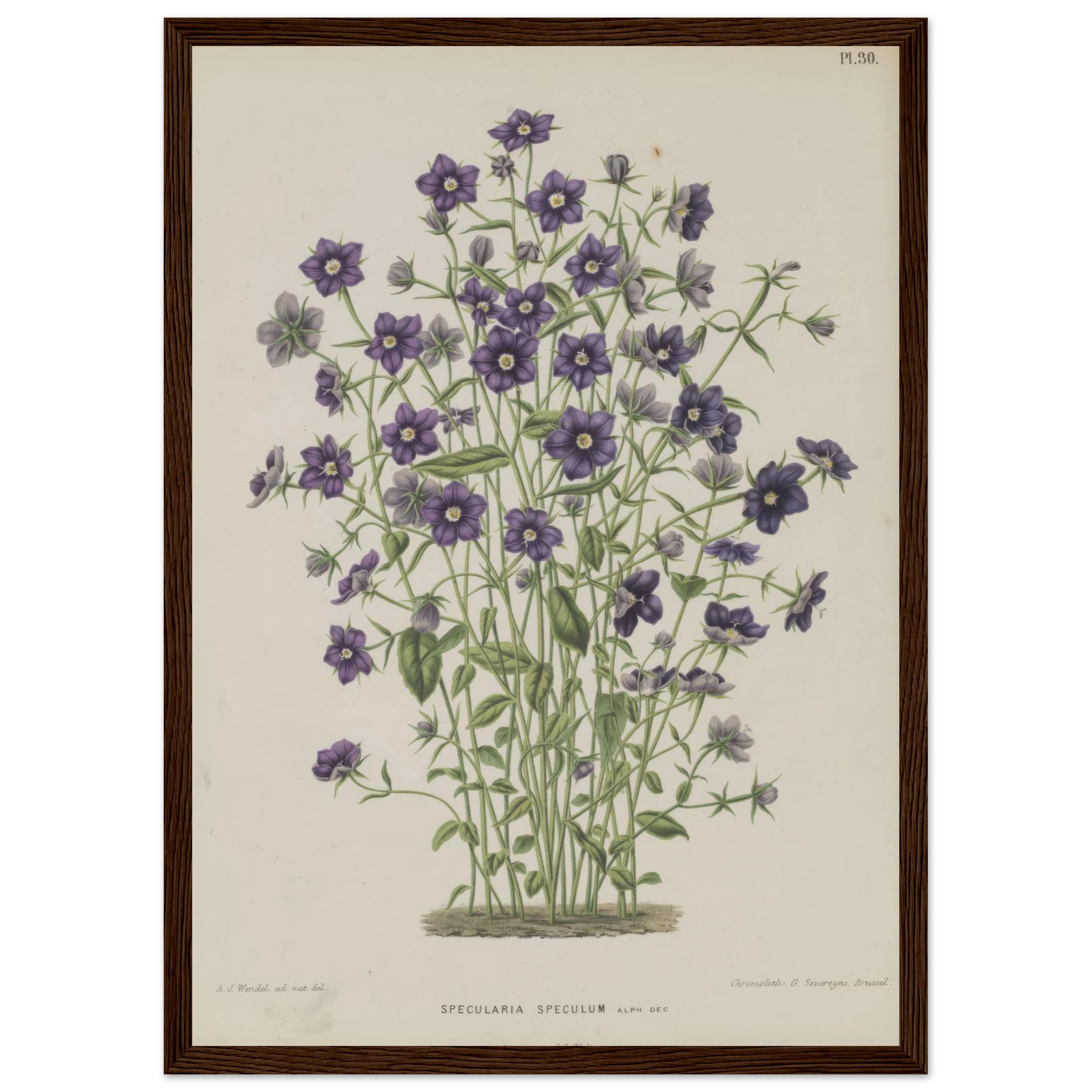 eb727c02-cc8f-447a-8723-b6e629703970