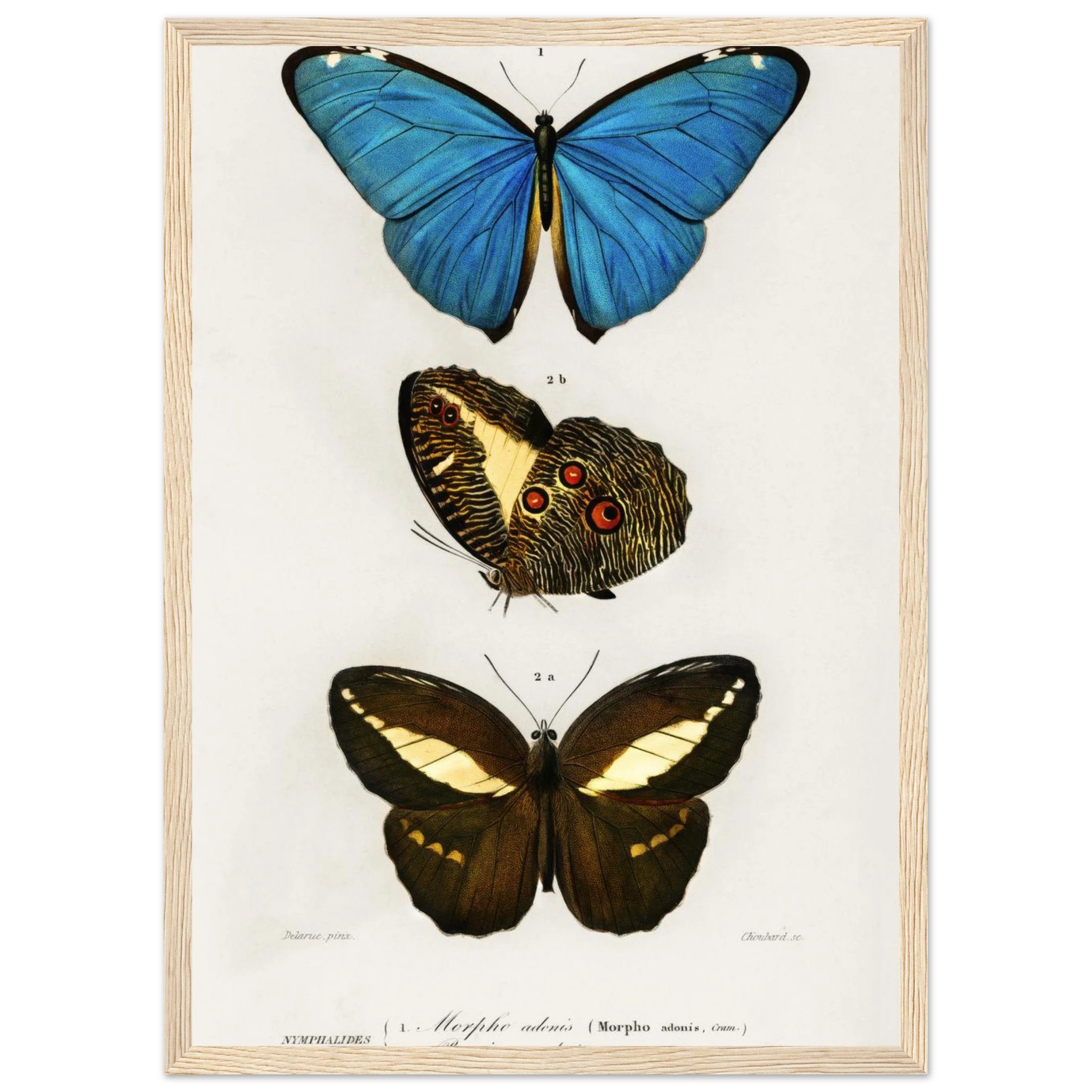 eb759f8d-9fd5-42e0-92ce-e4ab35fef4e1