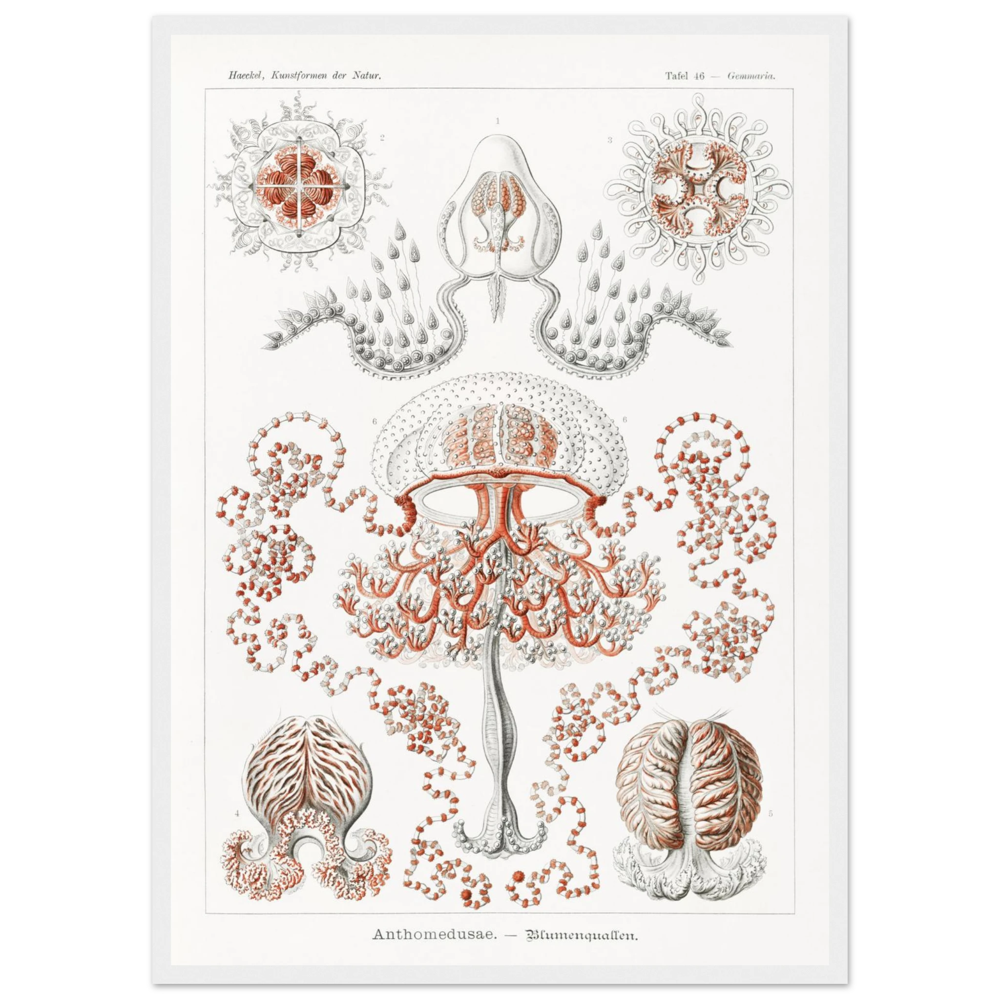 eba698b9-491e-49e3-8660-341bfb76416f