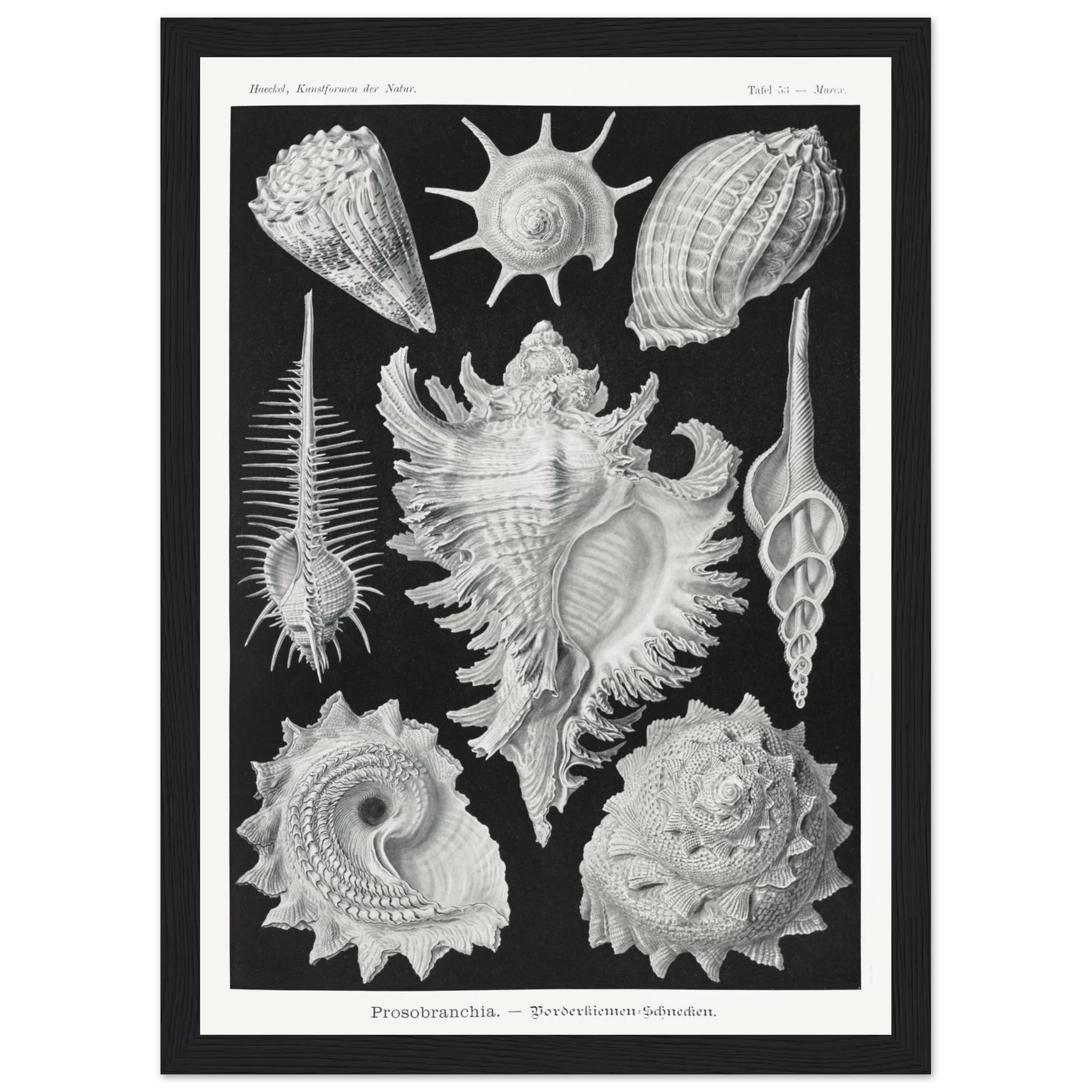 ec1bd8e1-6983-4420-a4cc-8b2392c9b34f