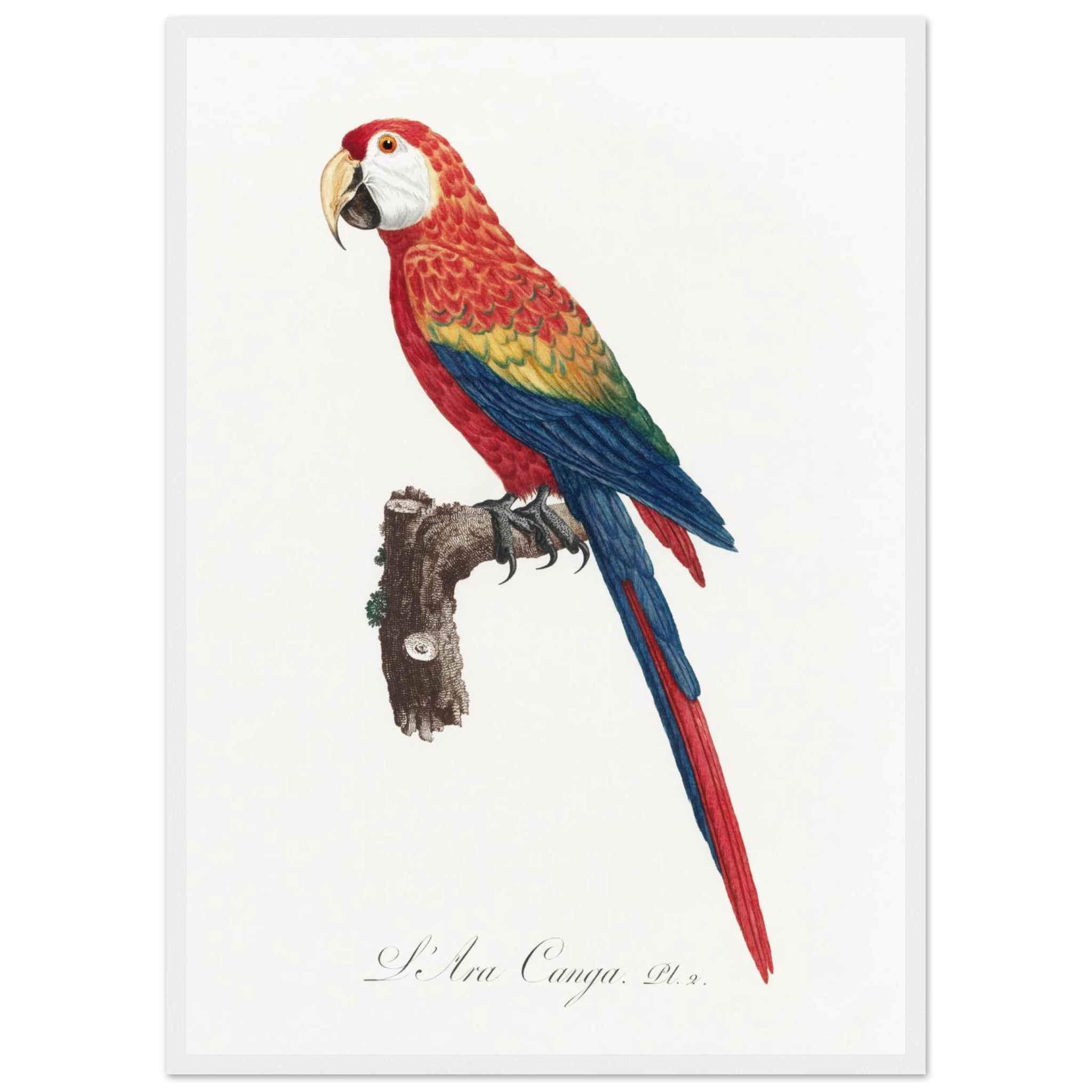 ec2242af-1b28-4db0-8909-e31ba76ec43b