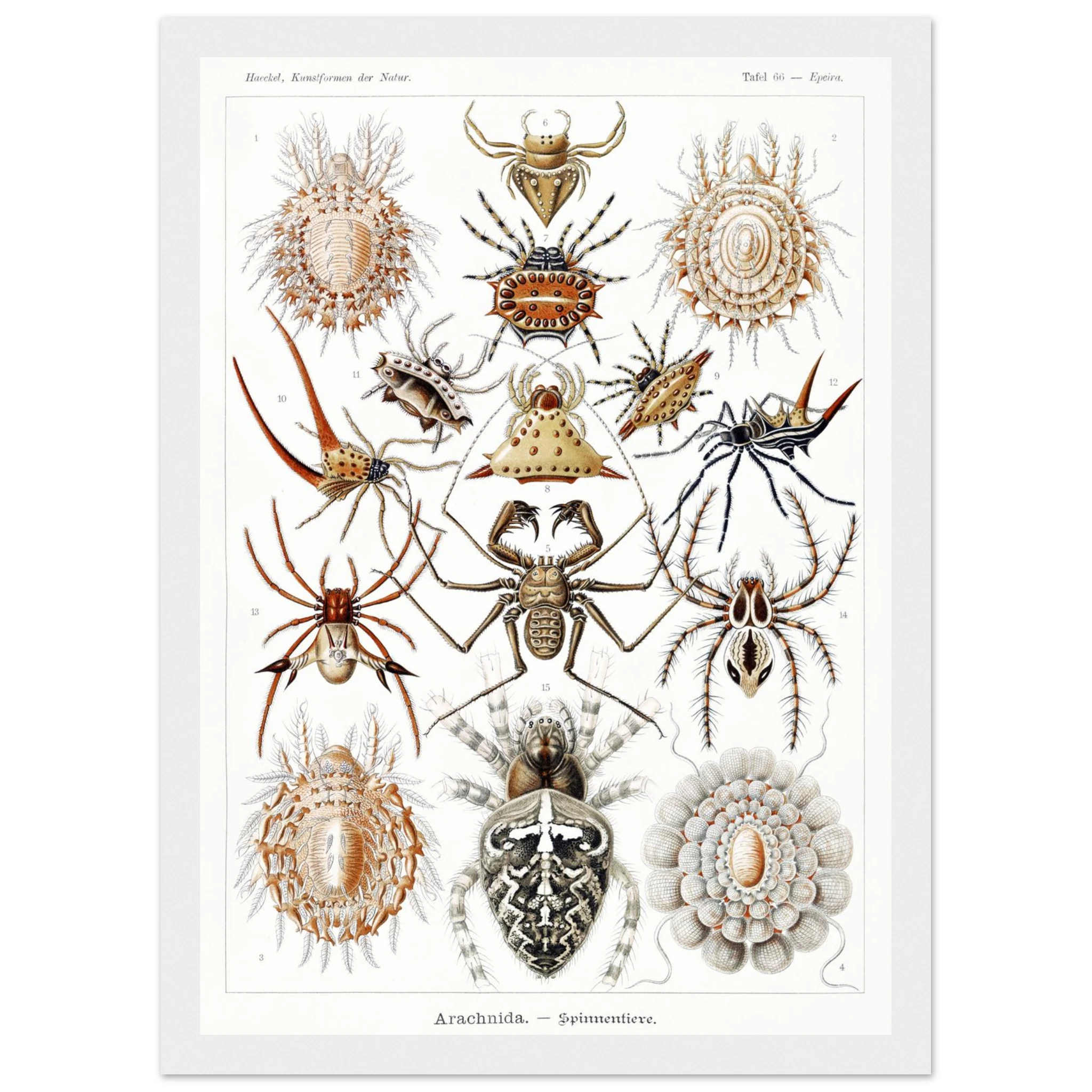 ec737313-8cf9-4ad0-b911-e16bce5f613a