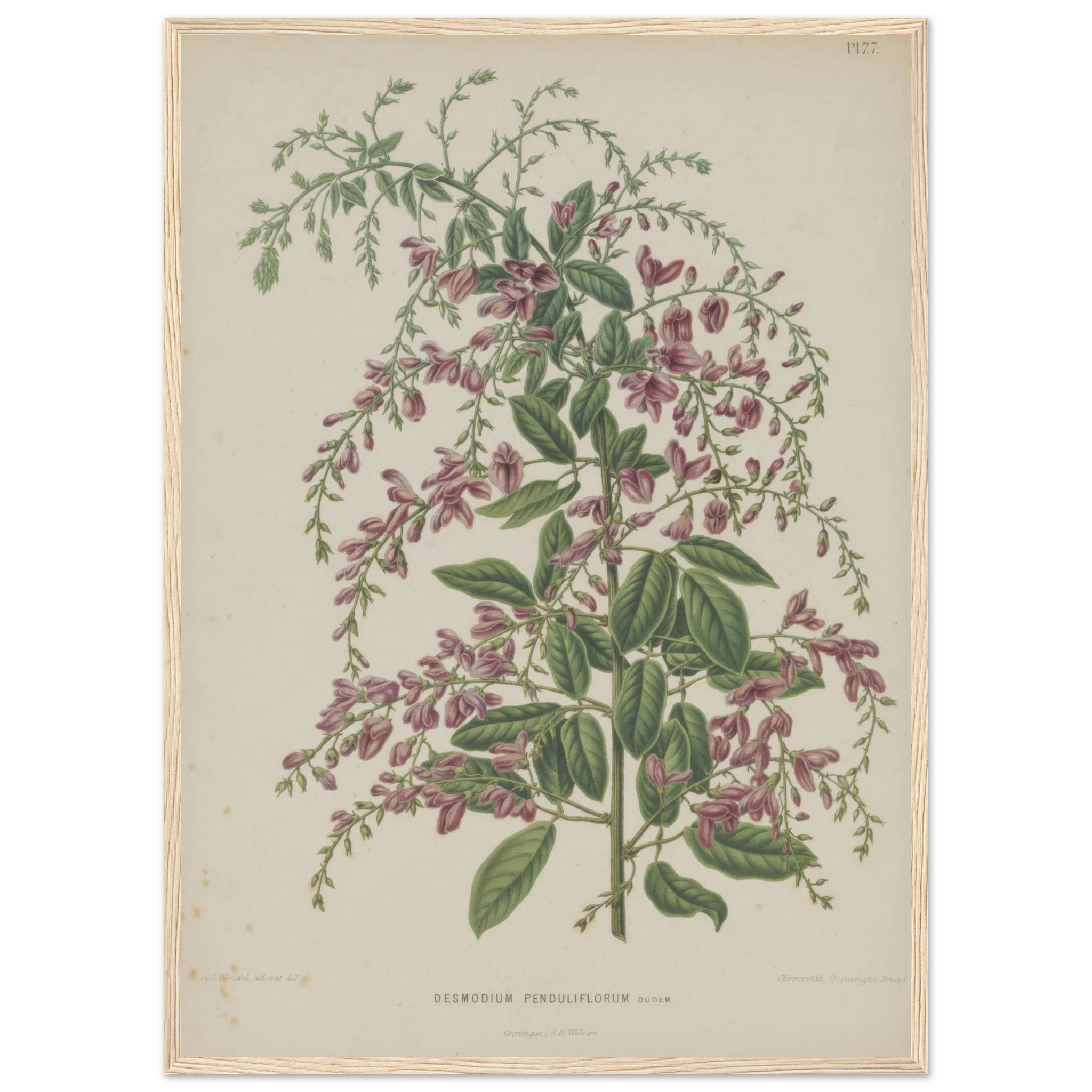 ecf21612-7d57-4db6-bfef-0464cd23286f