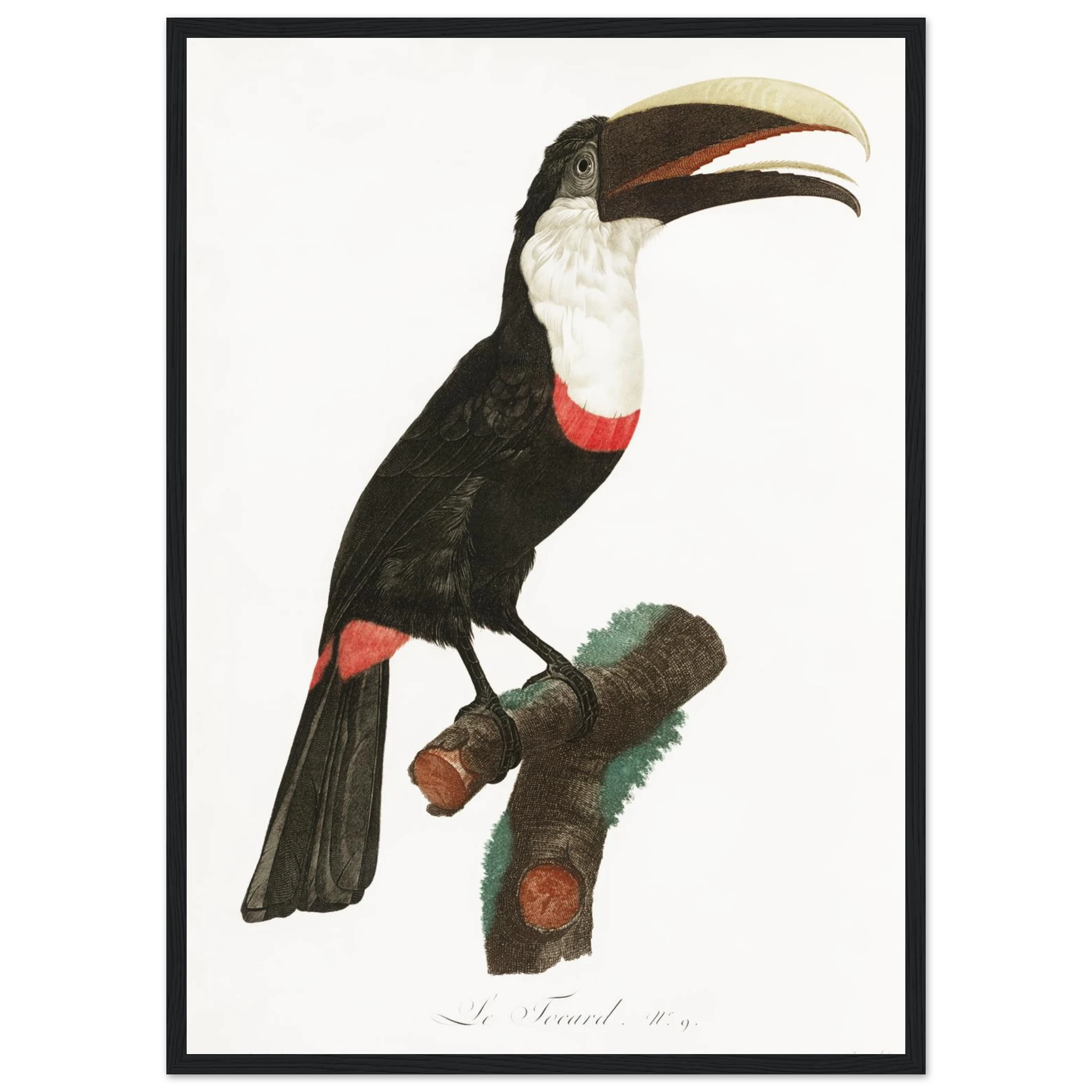 ecf6e408-8b32-4607-b1cc-5e4e4c066d6f