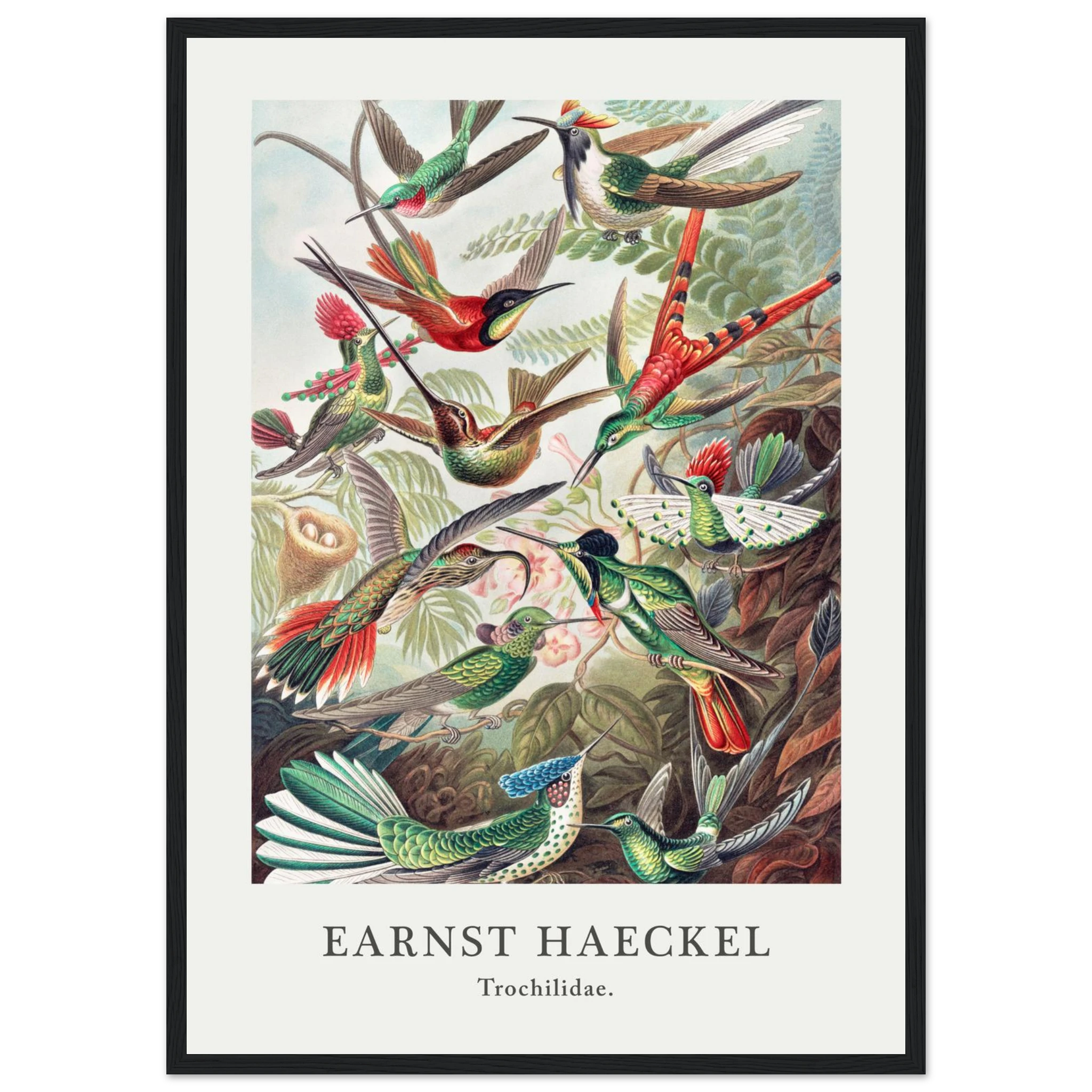 ed28aa2e-ae08-4351-a099-a476452e6016