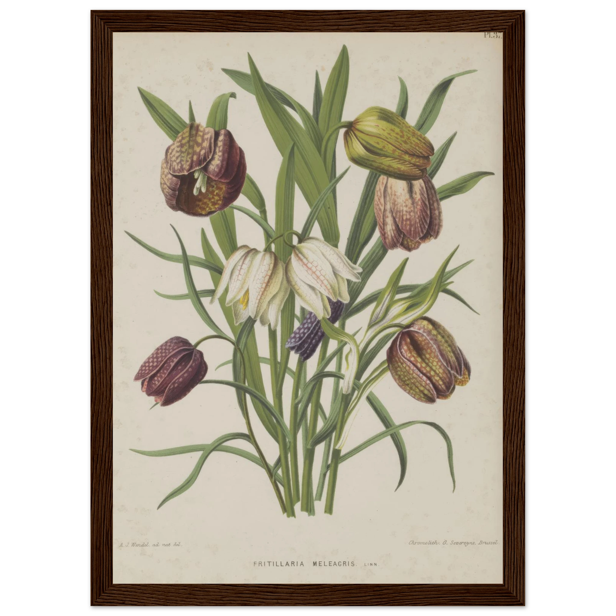 ed820826-740c-4993-99ed-70777eae3182