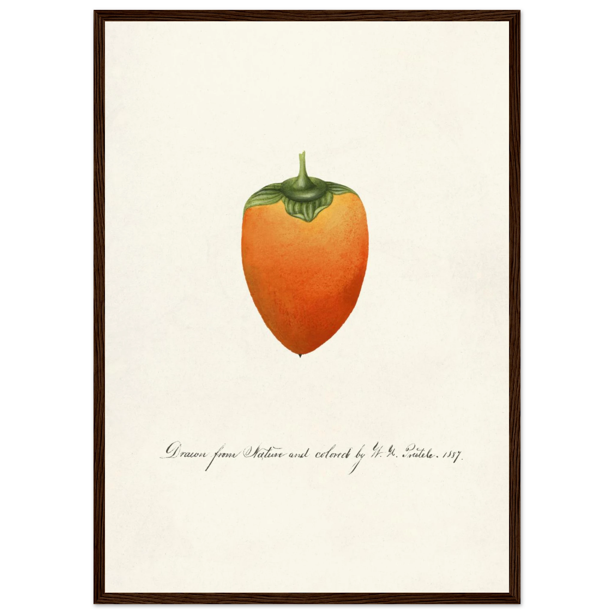 edada629-9270-439e-aec0-fe54d206ab60