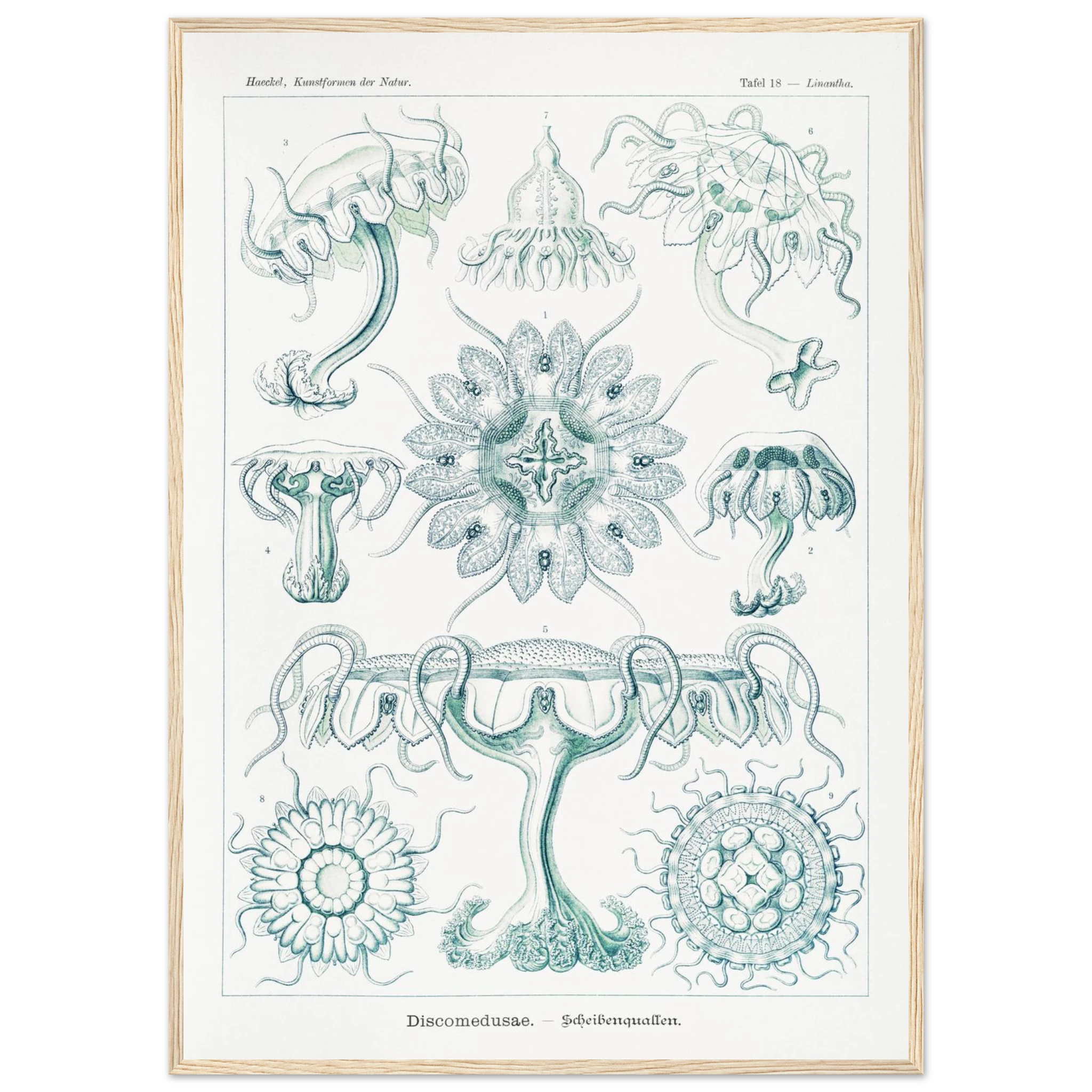 edda7aa2-5d4b-494b-b242-3f3994be741a