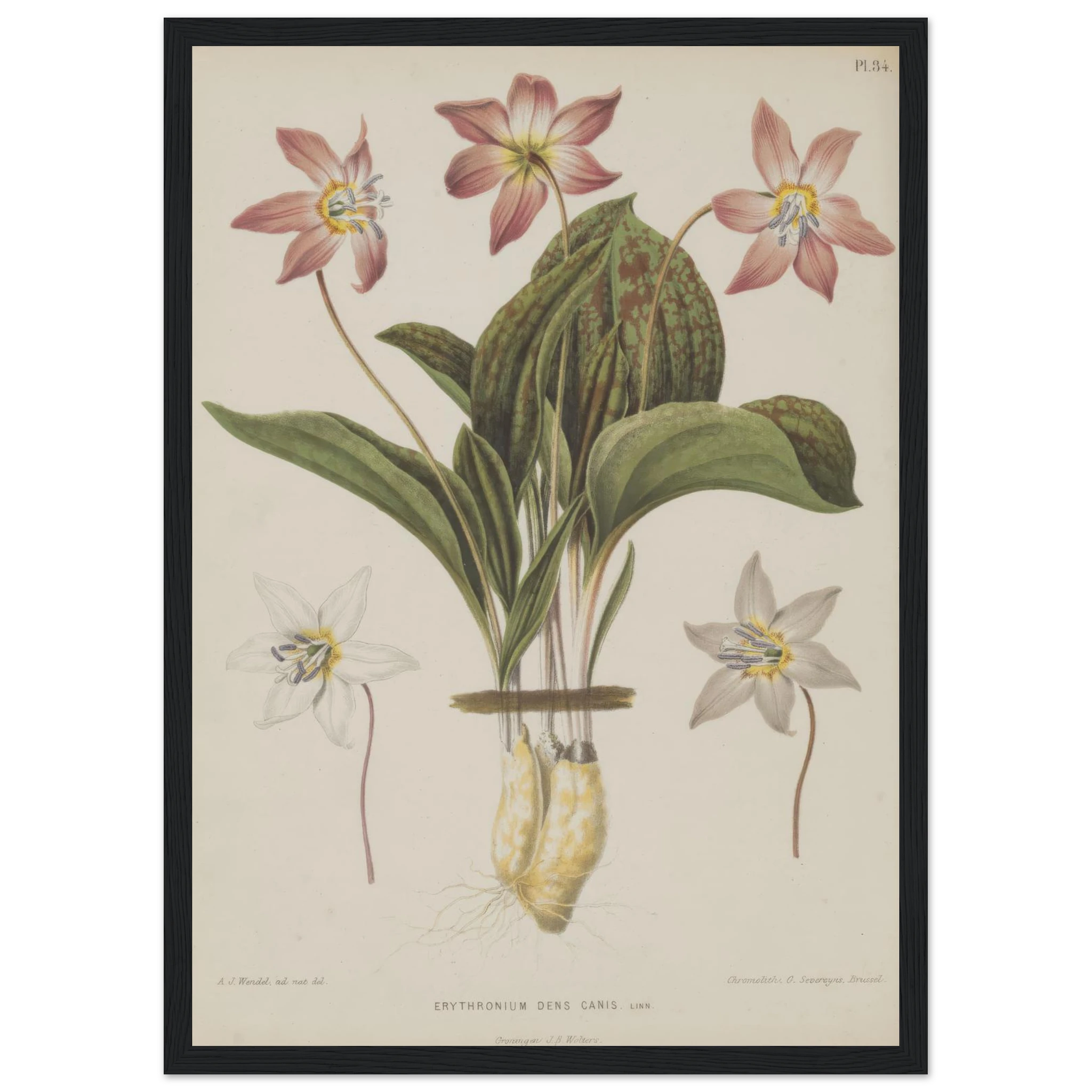 eddbfb66-879e-421f-b850-54ddf51e2b4c