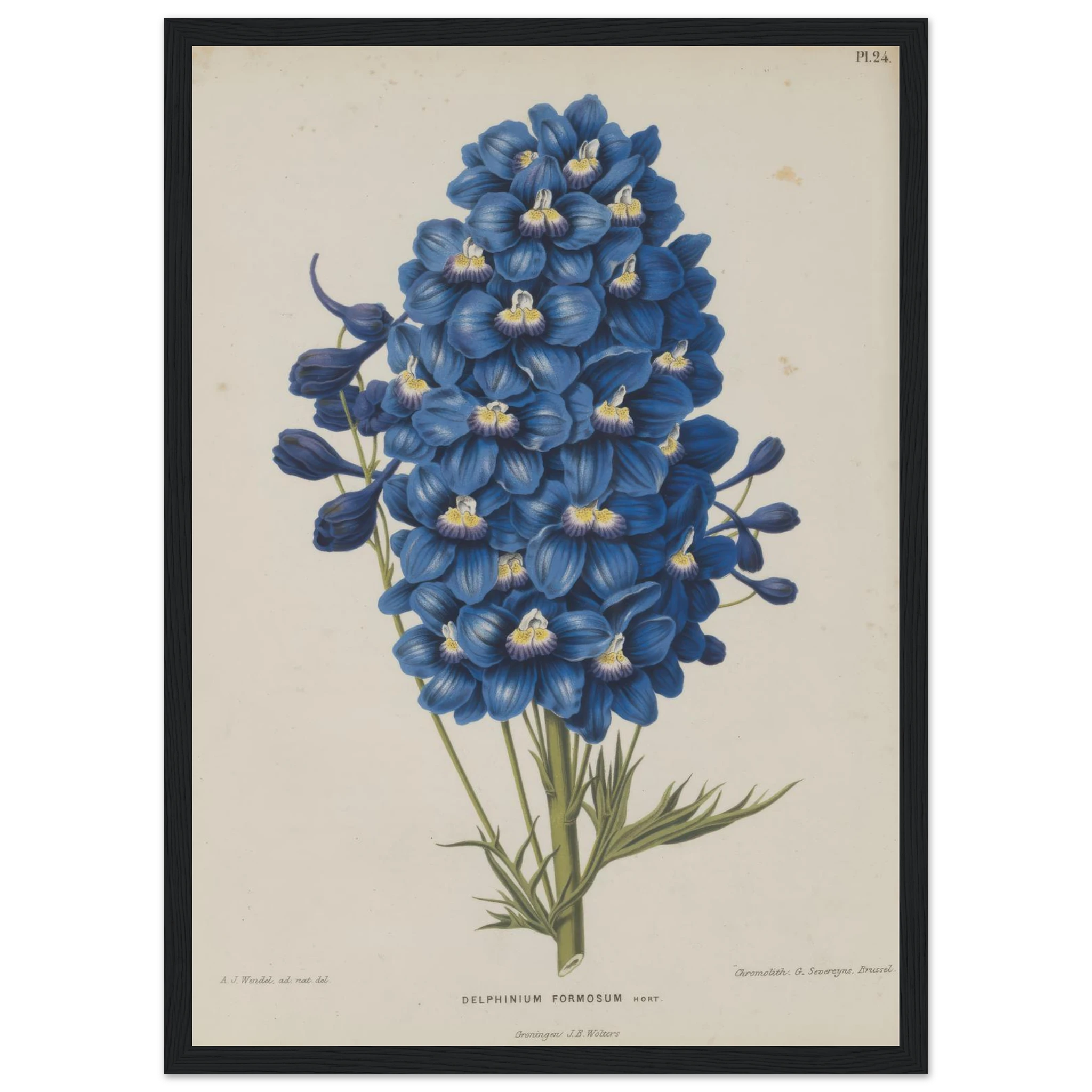 eddfad32-6106-4e65-a6af-4738874190cc