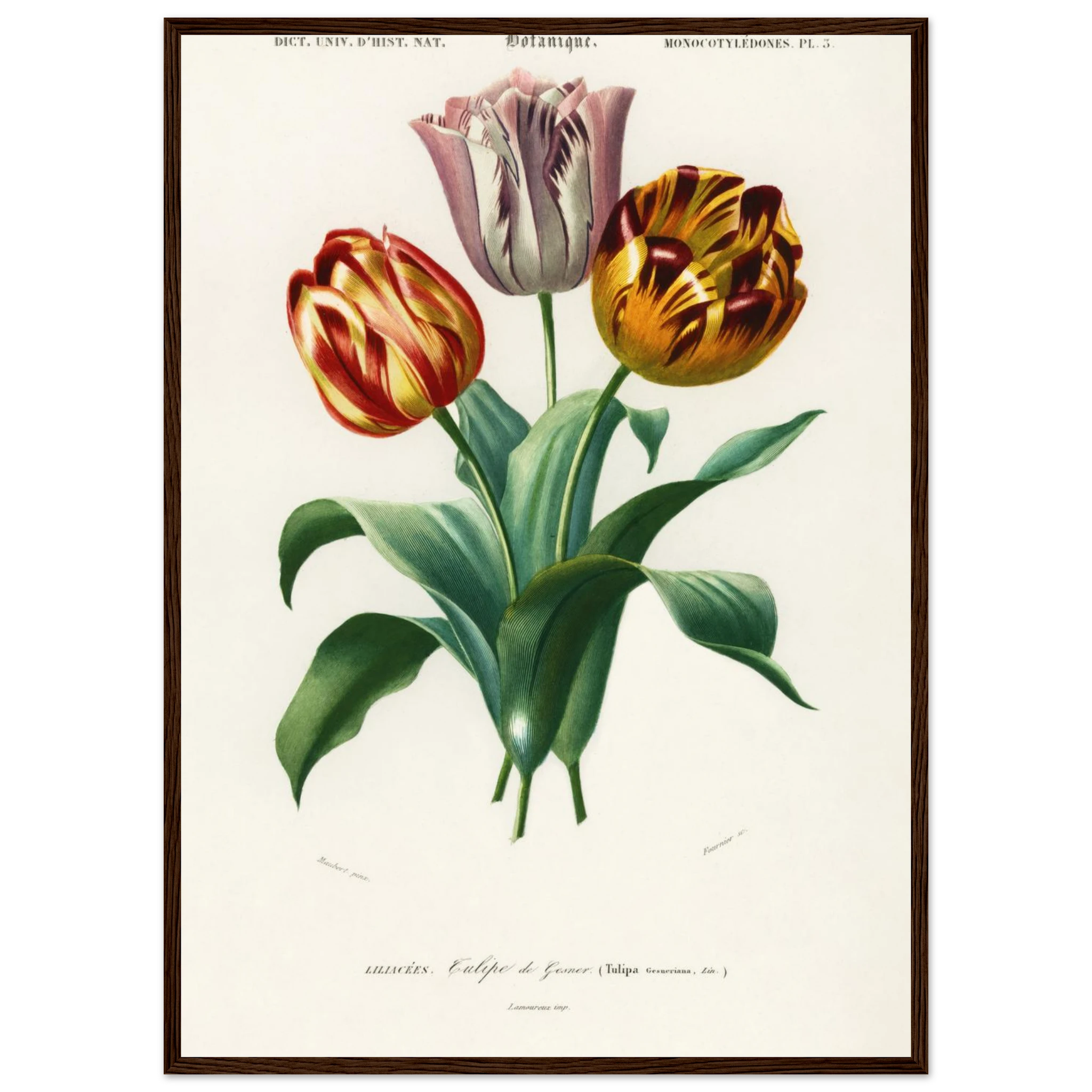 edf7134c-b5c1-4762-91bc-606888e6eb03