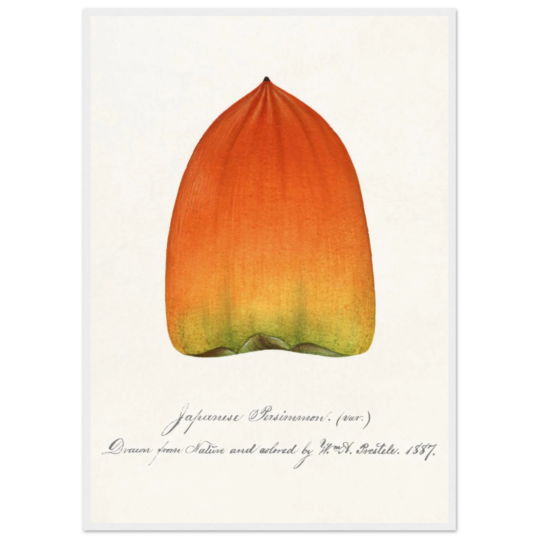 ee33ee17-d188-47f4-8485-1acfcad3dc85