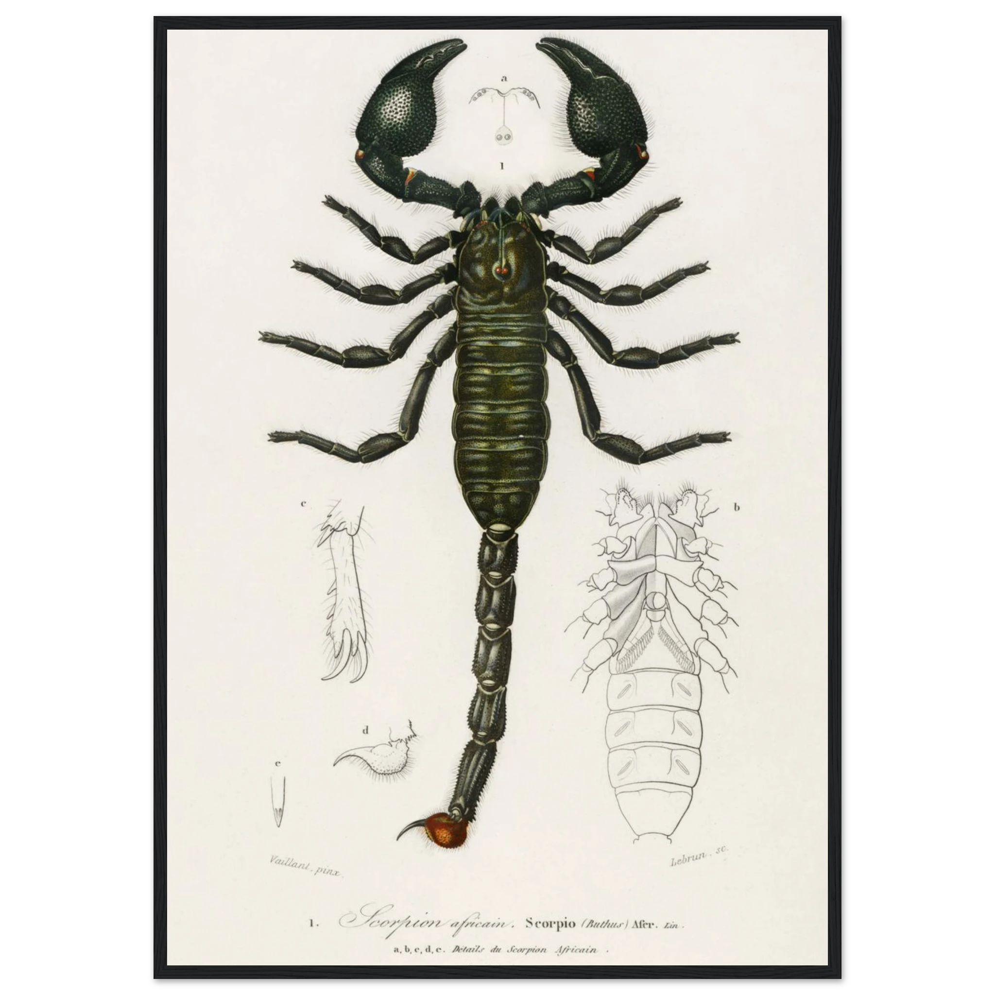 eeb369a1-e19c-4cc4-8268-5078f931b1df