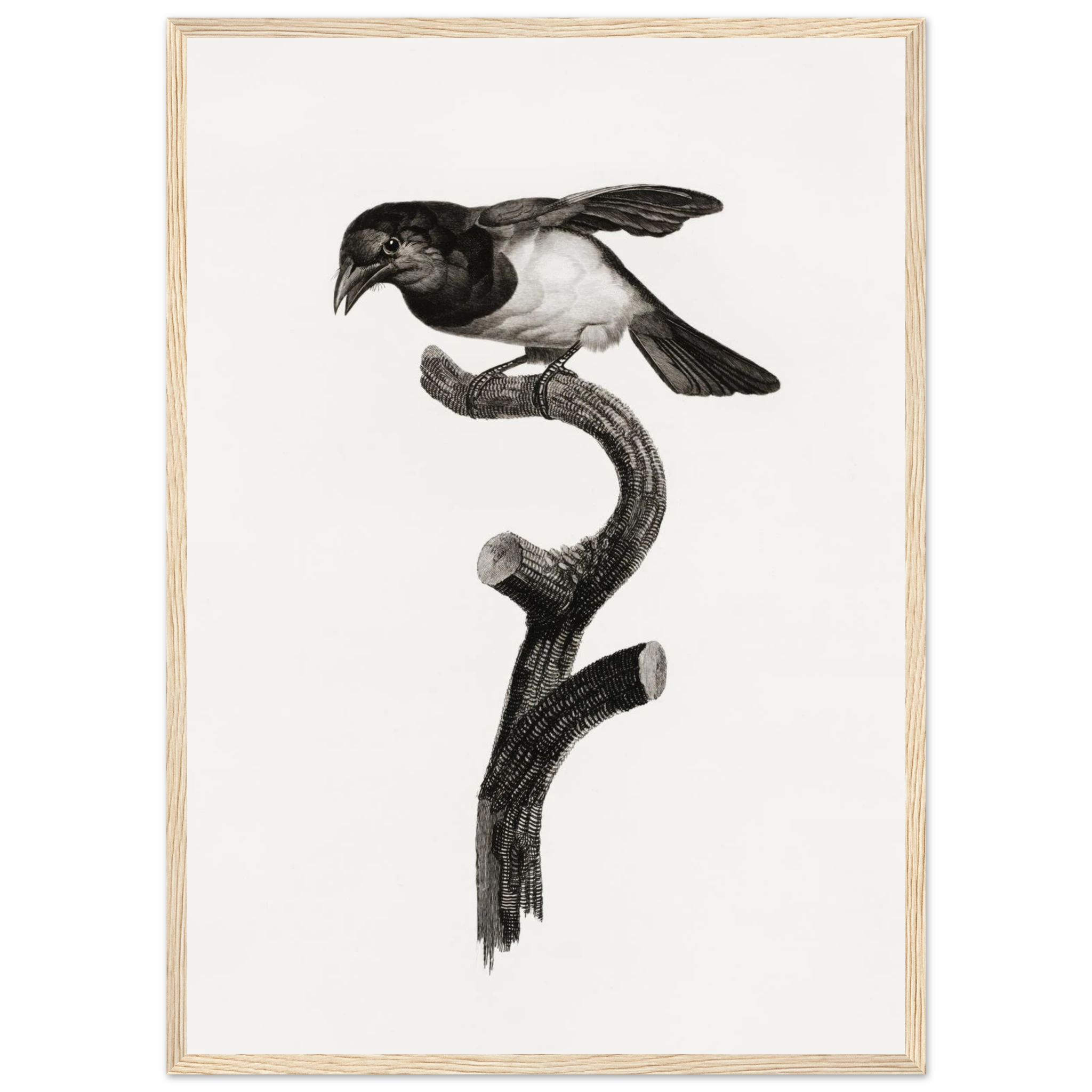 eeba4472-faa1-43dd-8157-576da370d5ac