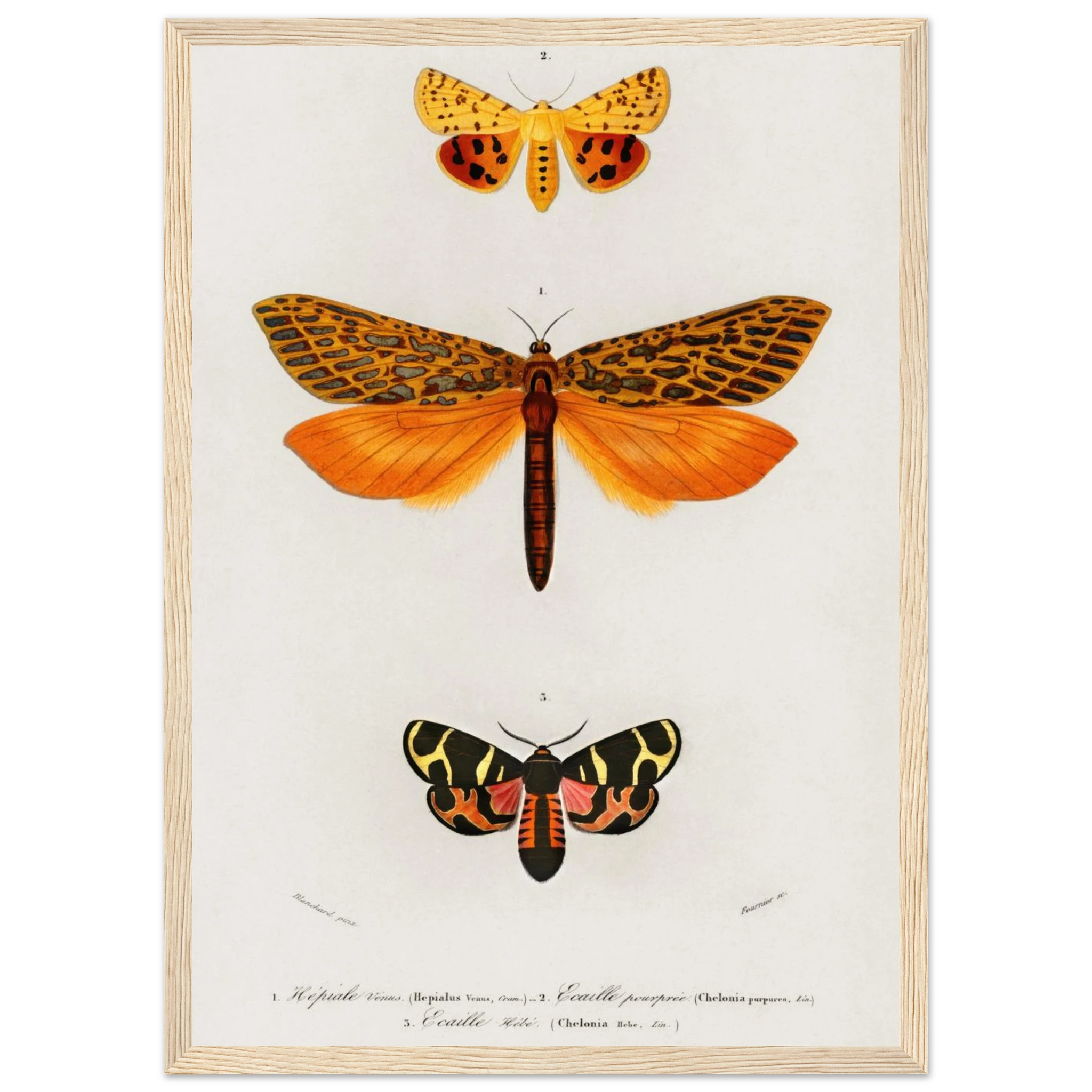 ef40476e-405b-455d-94b0-a6fb0db3a18a