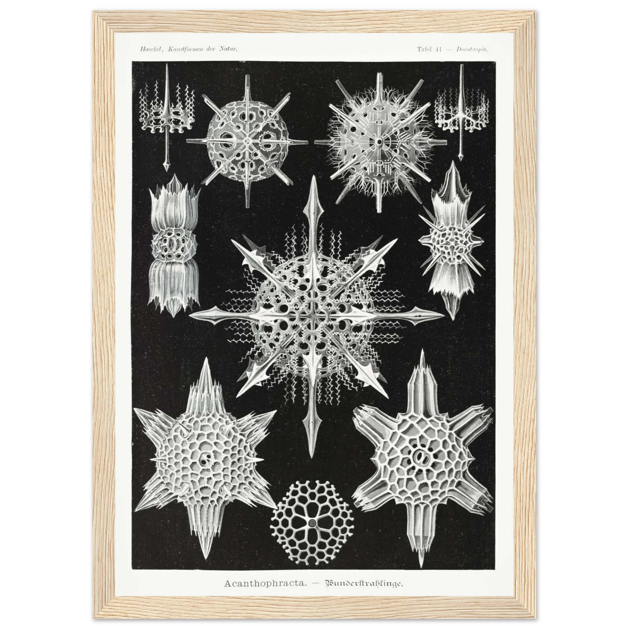 ef7e2a5a-cc0a-464d-b5d0-9afd51b0c087