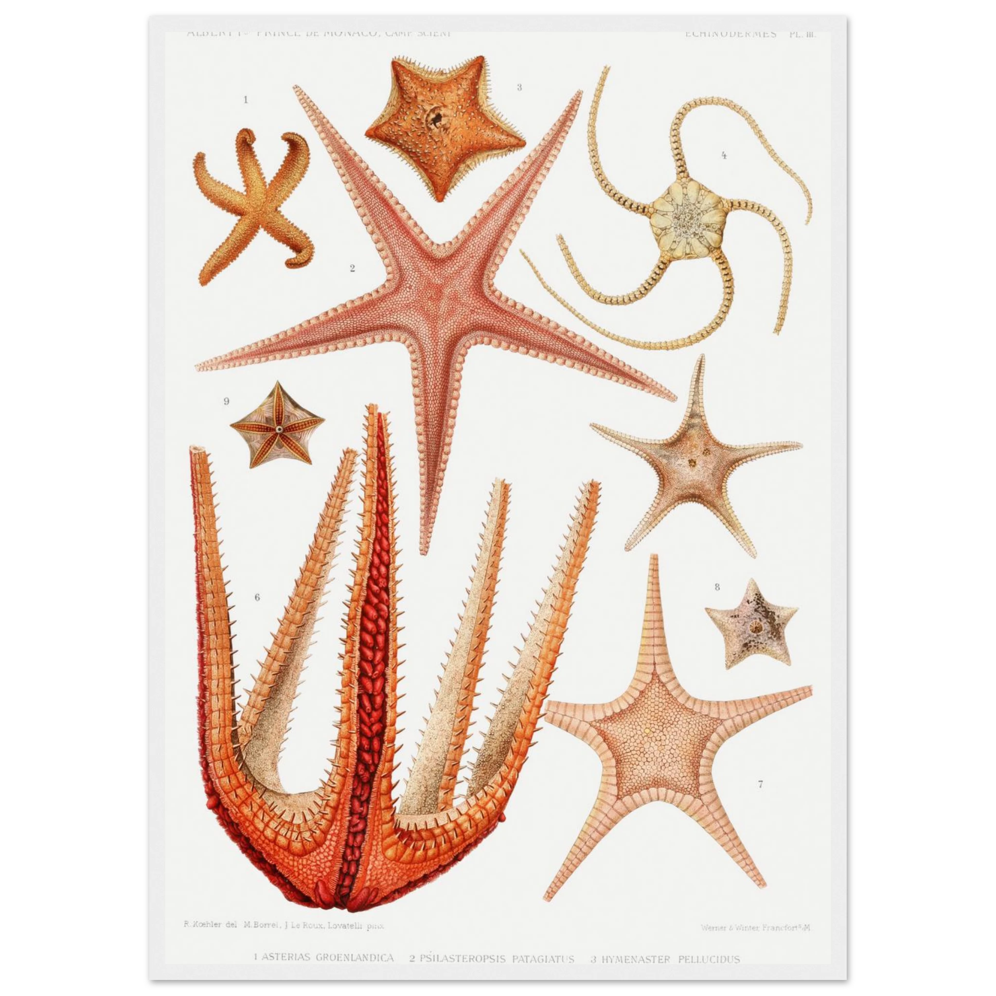 ef8d39b0-e7d6-48ff-b685-3c497764a9da