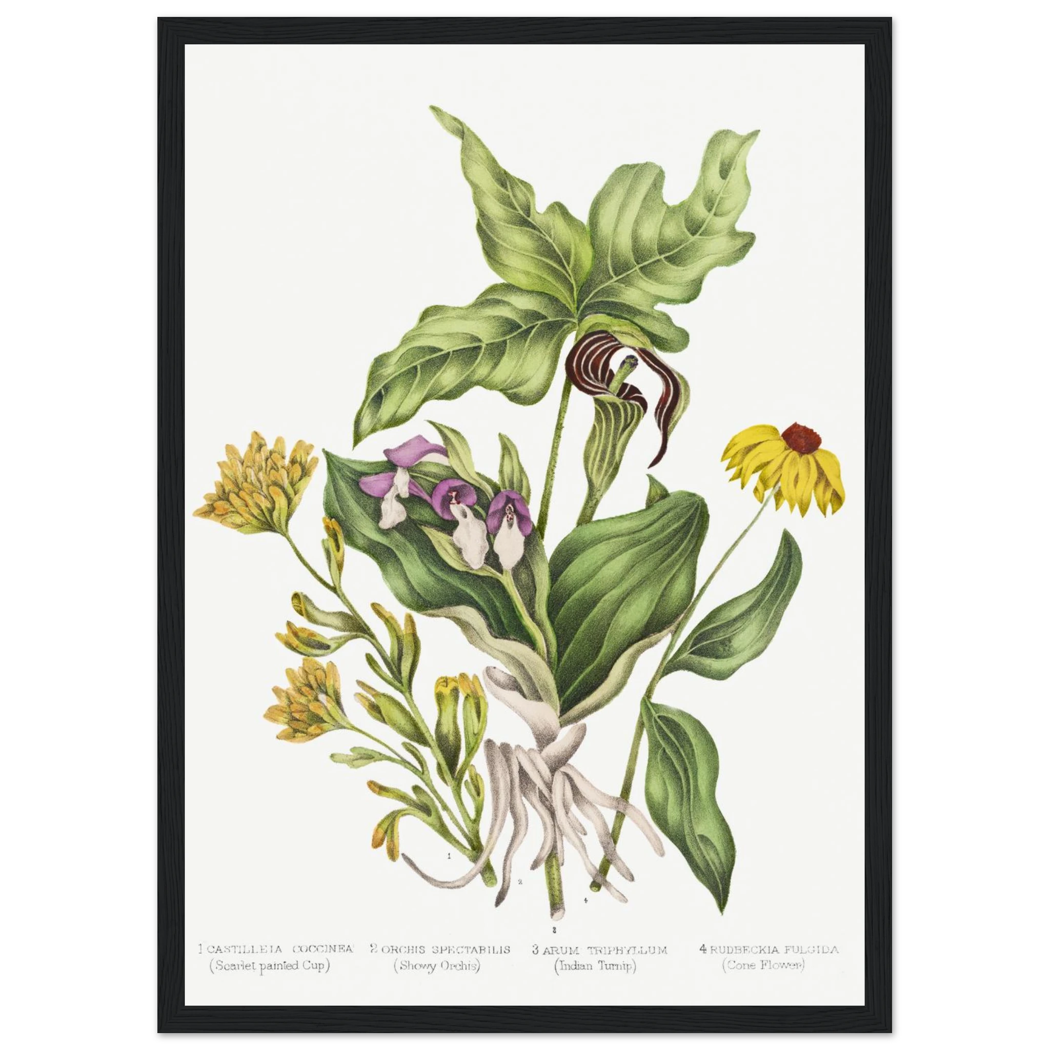 efb9001b-bcf5-4f61-ac9d-fa6c46939040