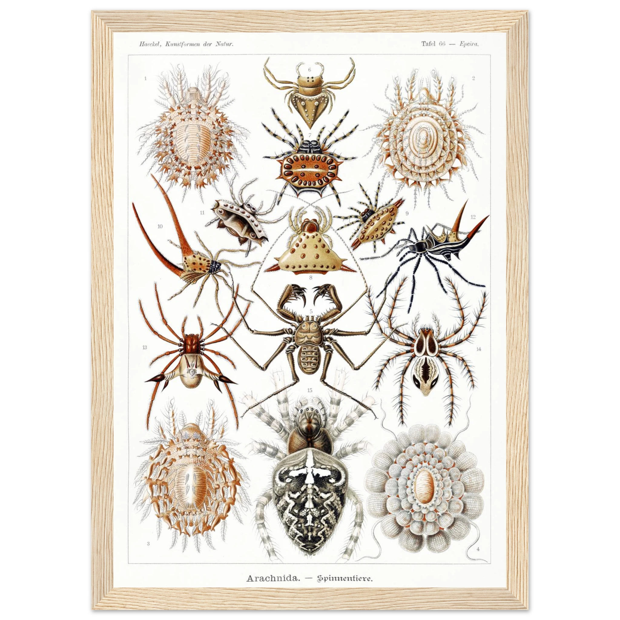 f003d30d-e32d-4eb3-8ace-c38bf72ff3ec