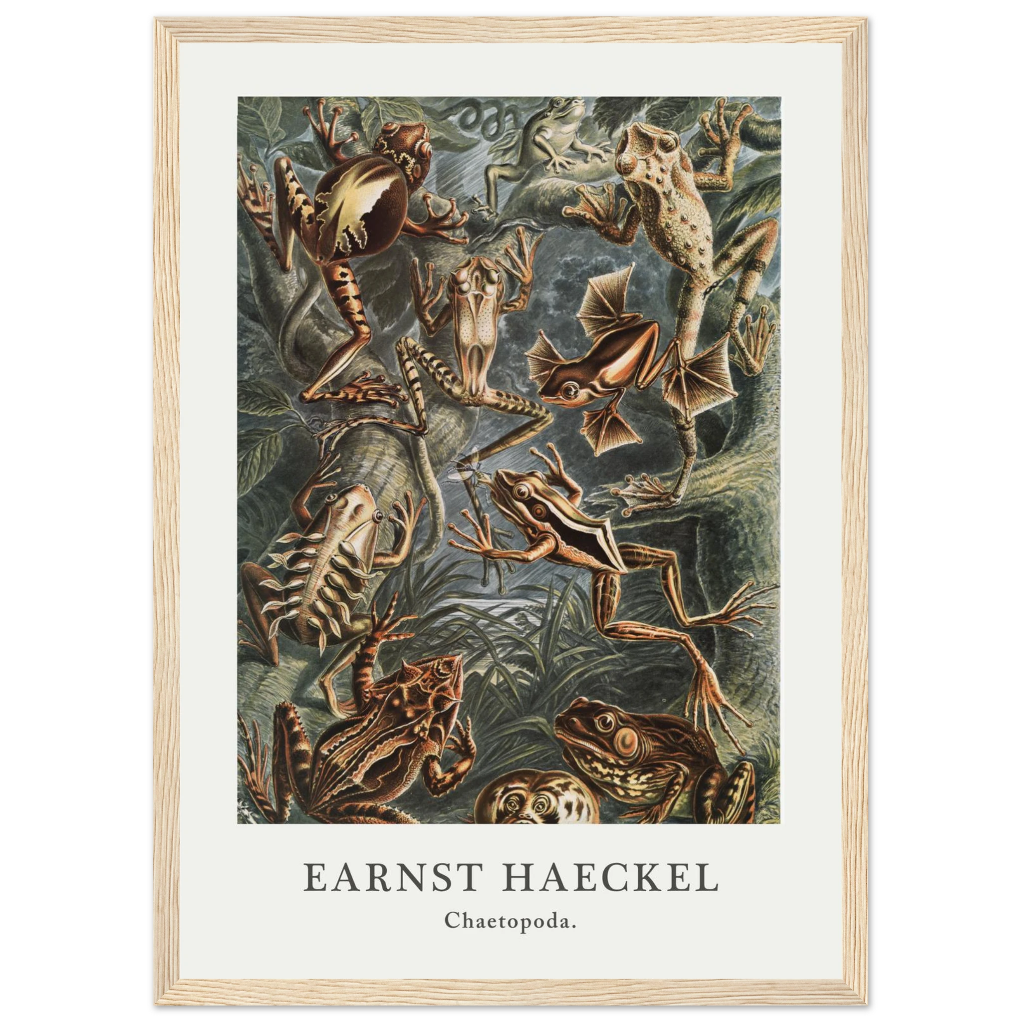 f00b6c68-d8bb-47f0-a3a4-403e21170a8b