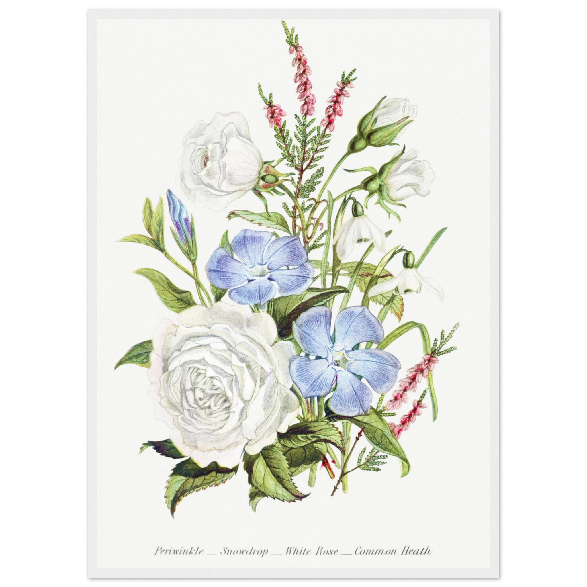 f0428560-2564-43b6-81d4-f24512b30132