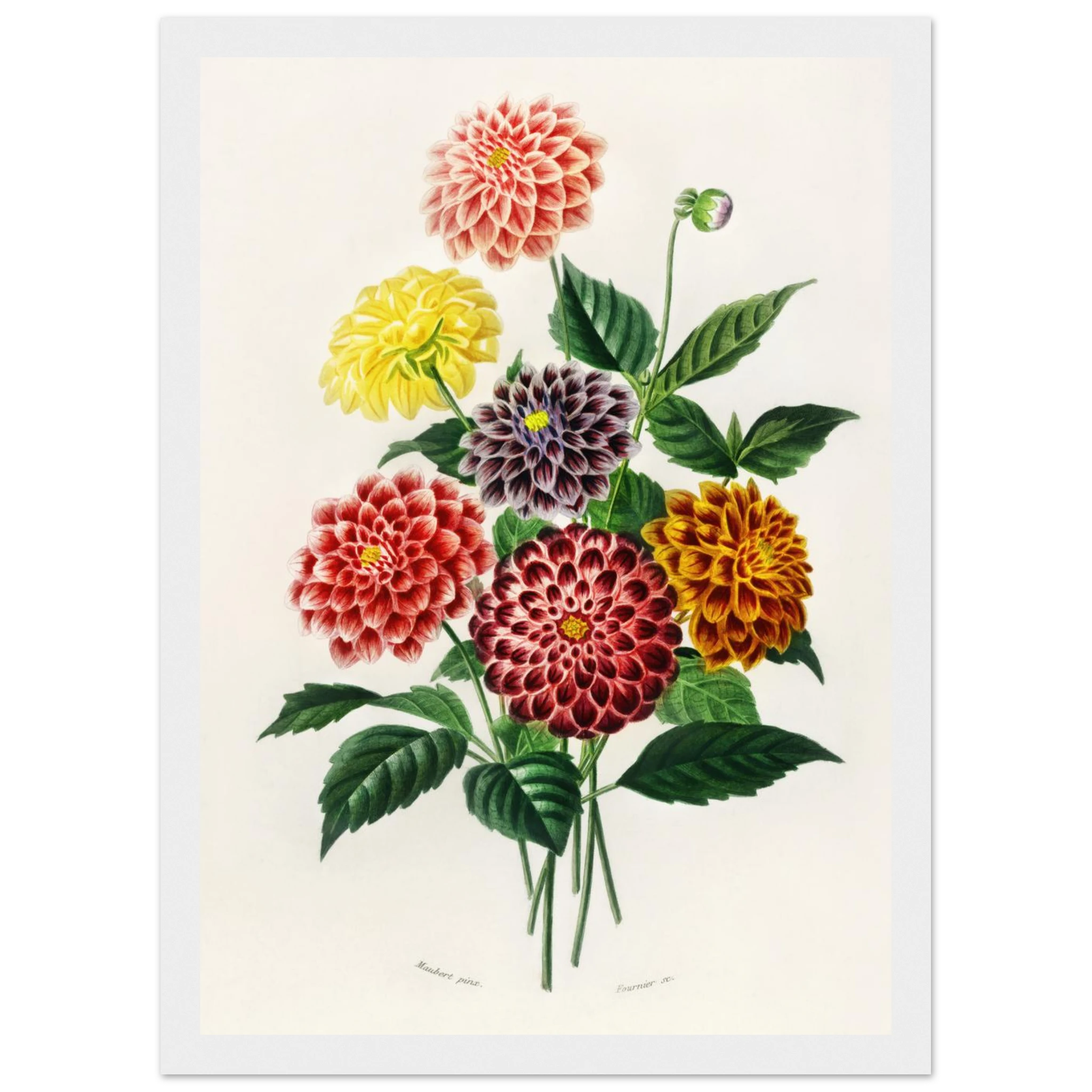 f042c315-0264-4238-bea7-d6feca6874a0