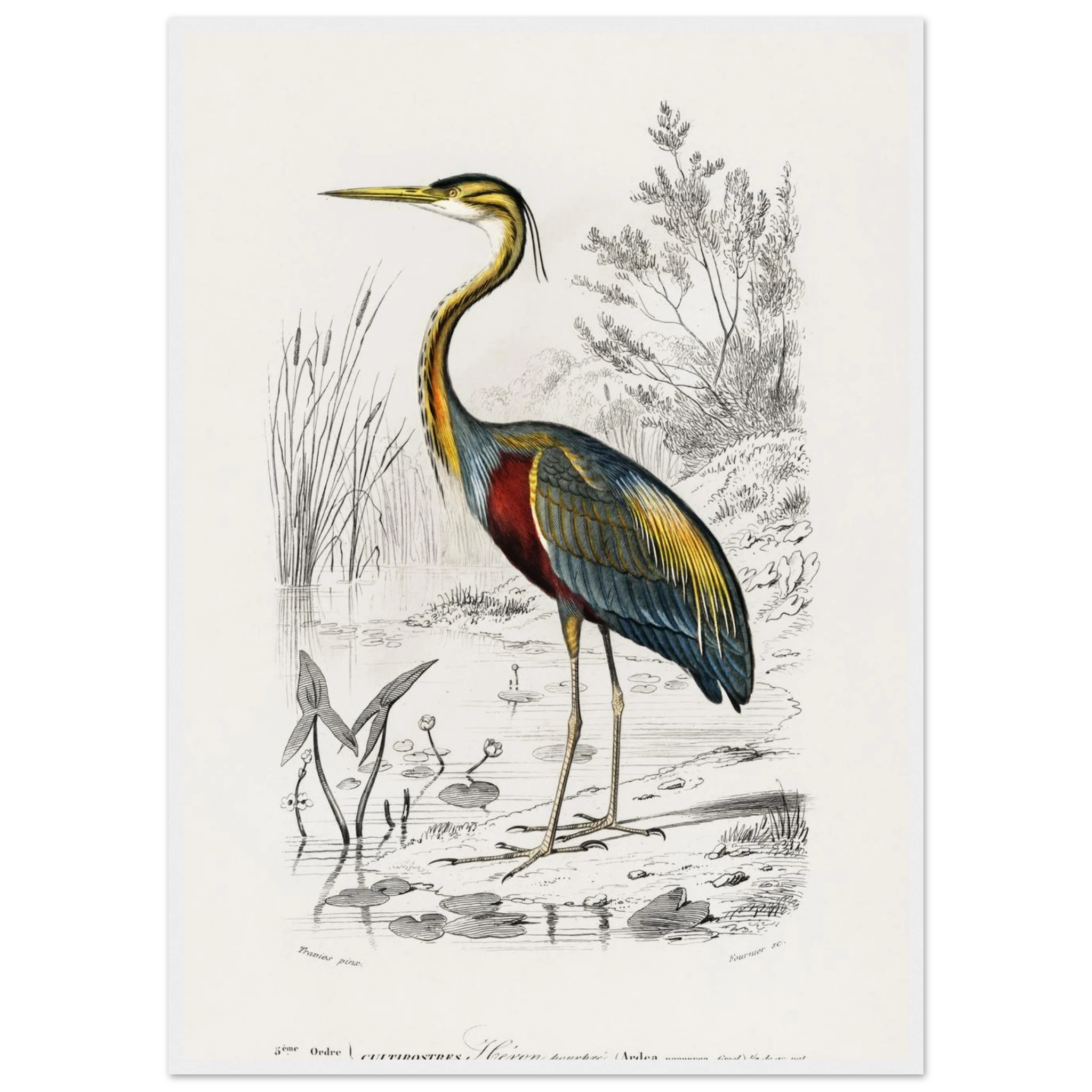 f08cb8d2-6c71-4490-ab8f-9d047578d4f9