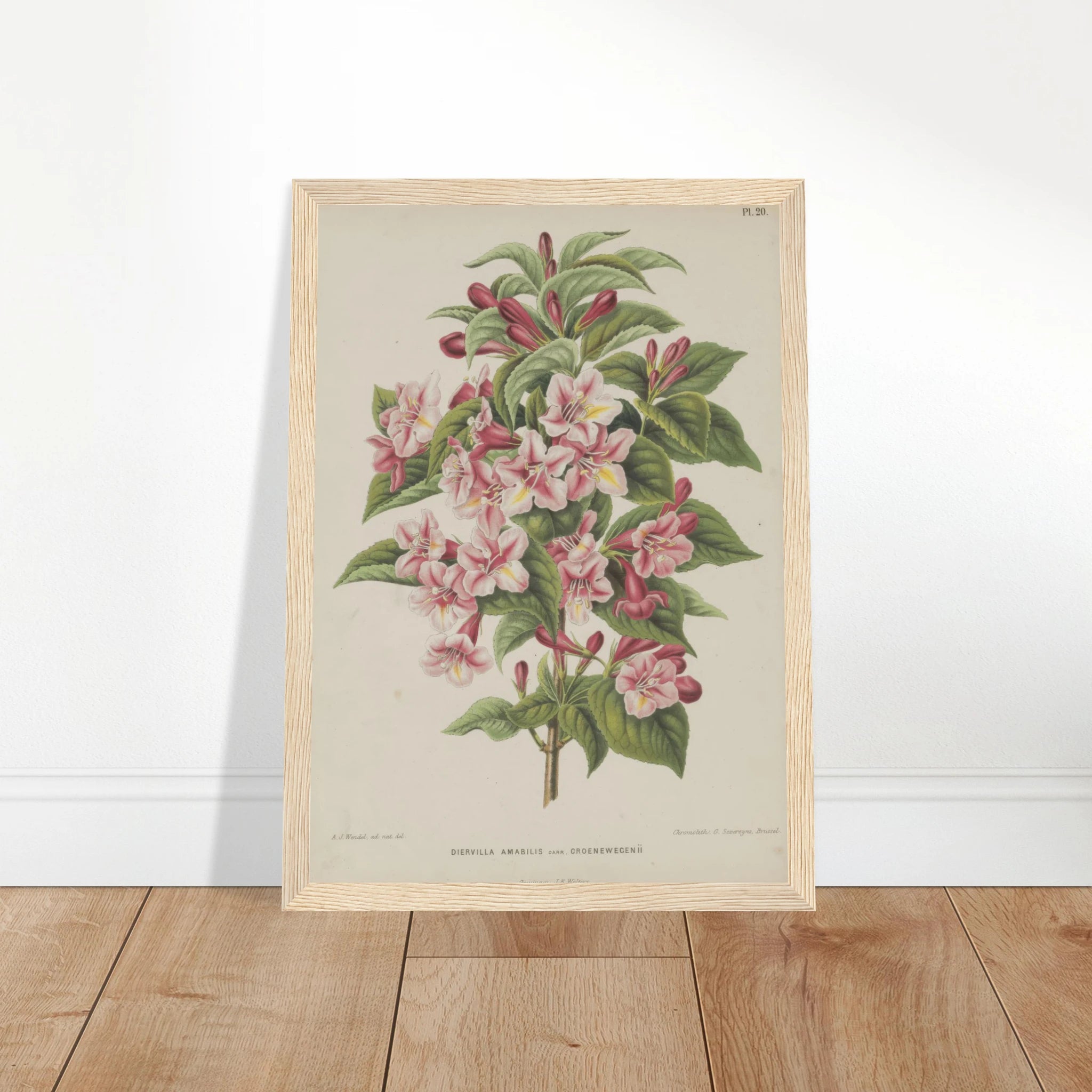 f0a0e2da-92fc-40cd-a9d6-ecf8b32ad6ed