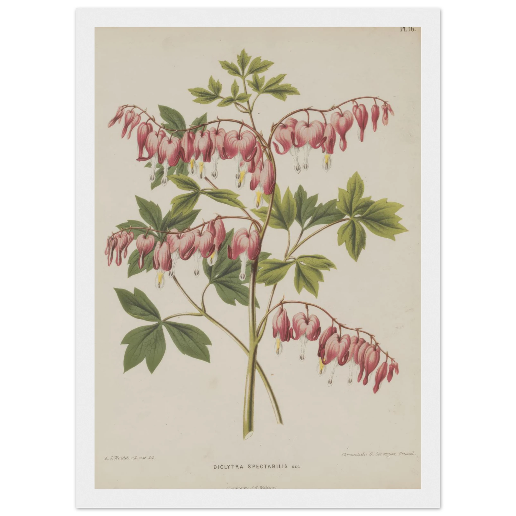 f13e762b-bc35-4adb-99ce-d9615324440c