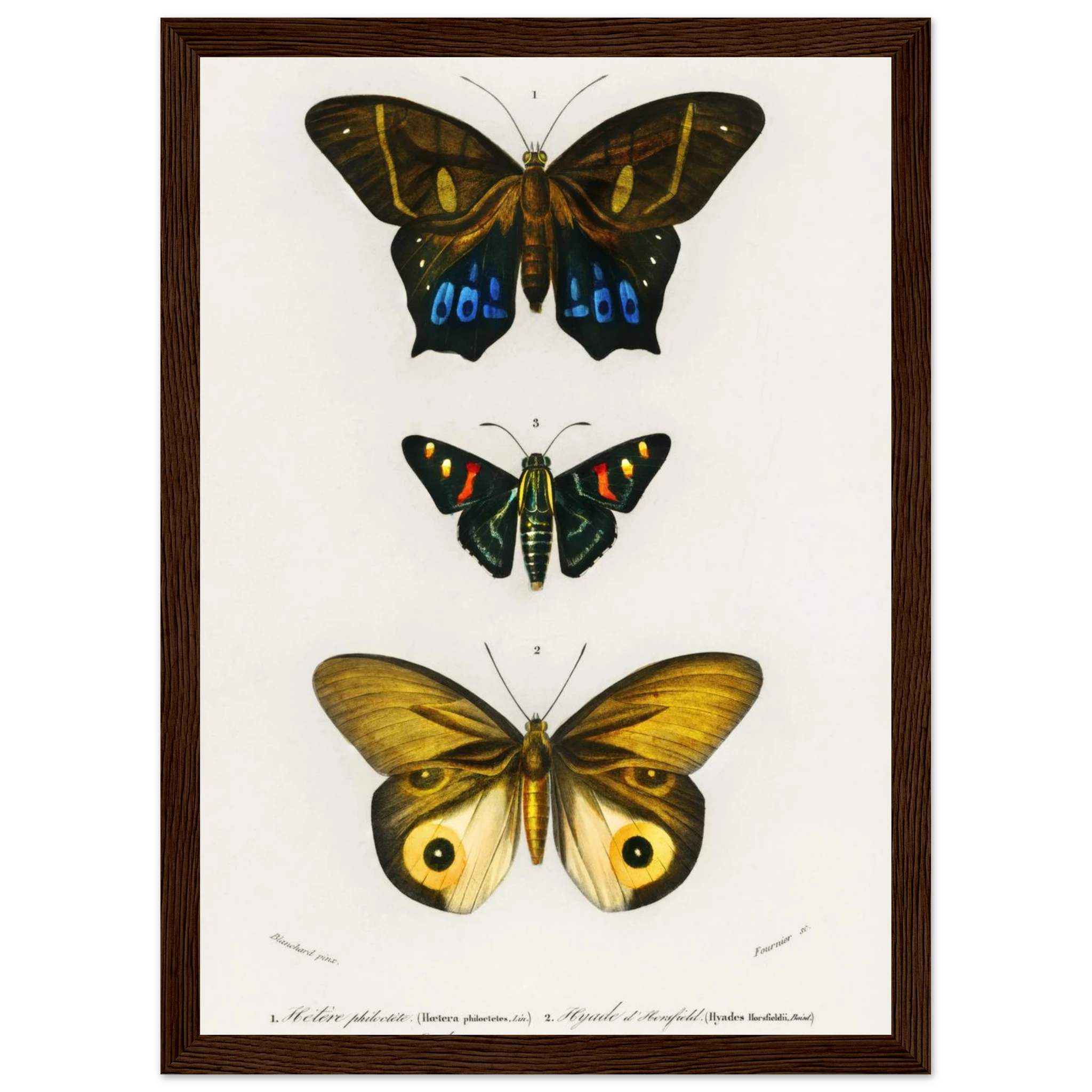 f1e0a24e-e5a6-4d9c-a52c-d29997703c24