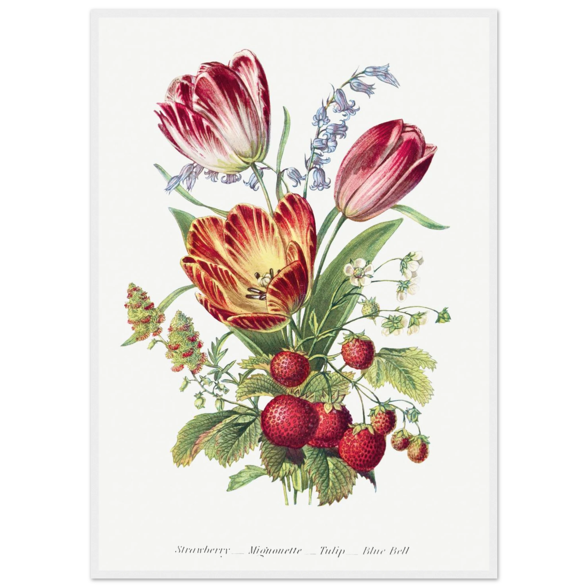 f217dced-3052-488c-8354-2c4f81c2c855