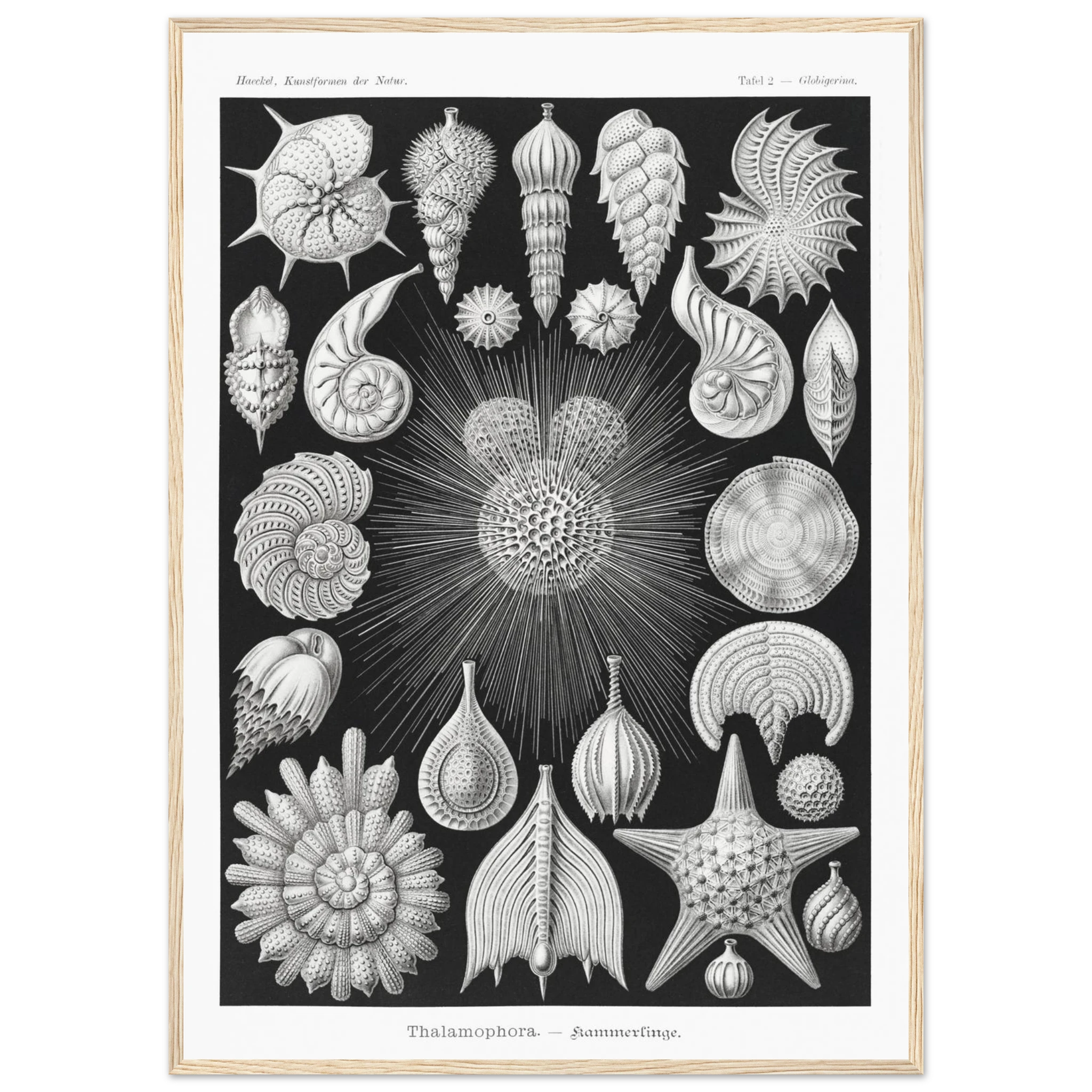 f24de5c9-38fb-4724-af65-44d7f6affe3e