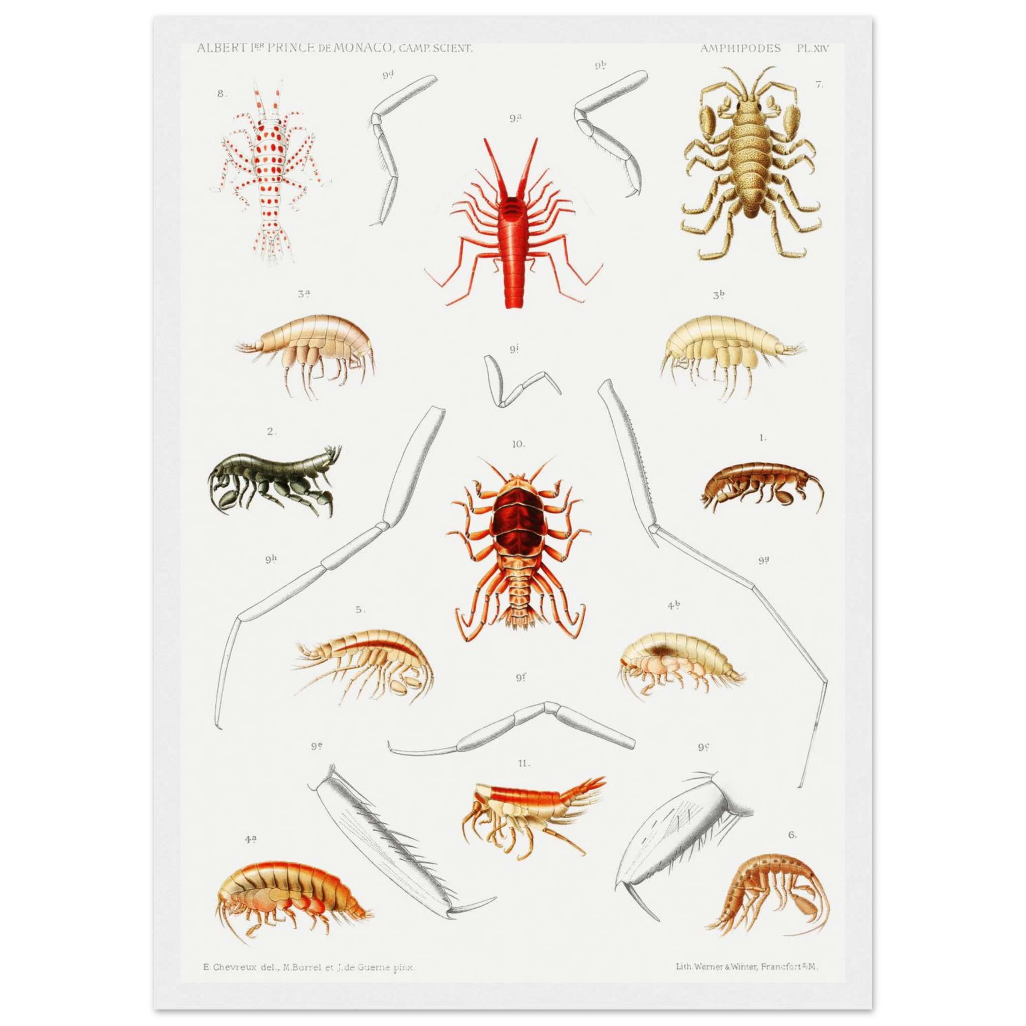 f24e7a82-212e-4618-889c-bc97a5172088