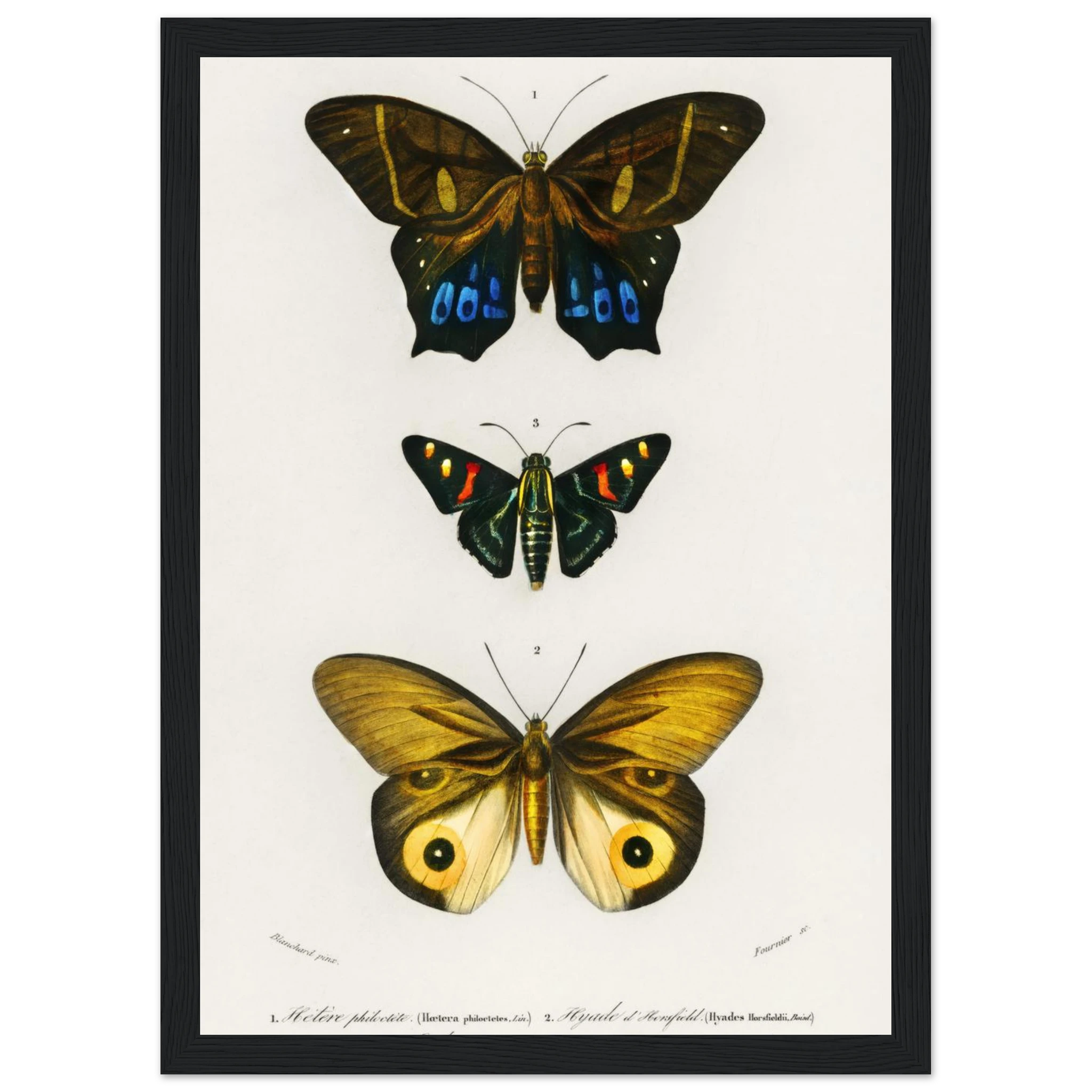 f28390e6-902c-4a47-abe8-f4b3a5a2232f