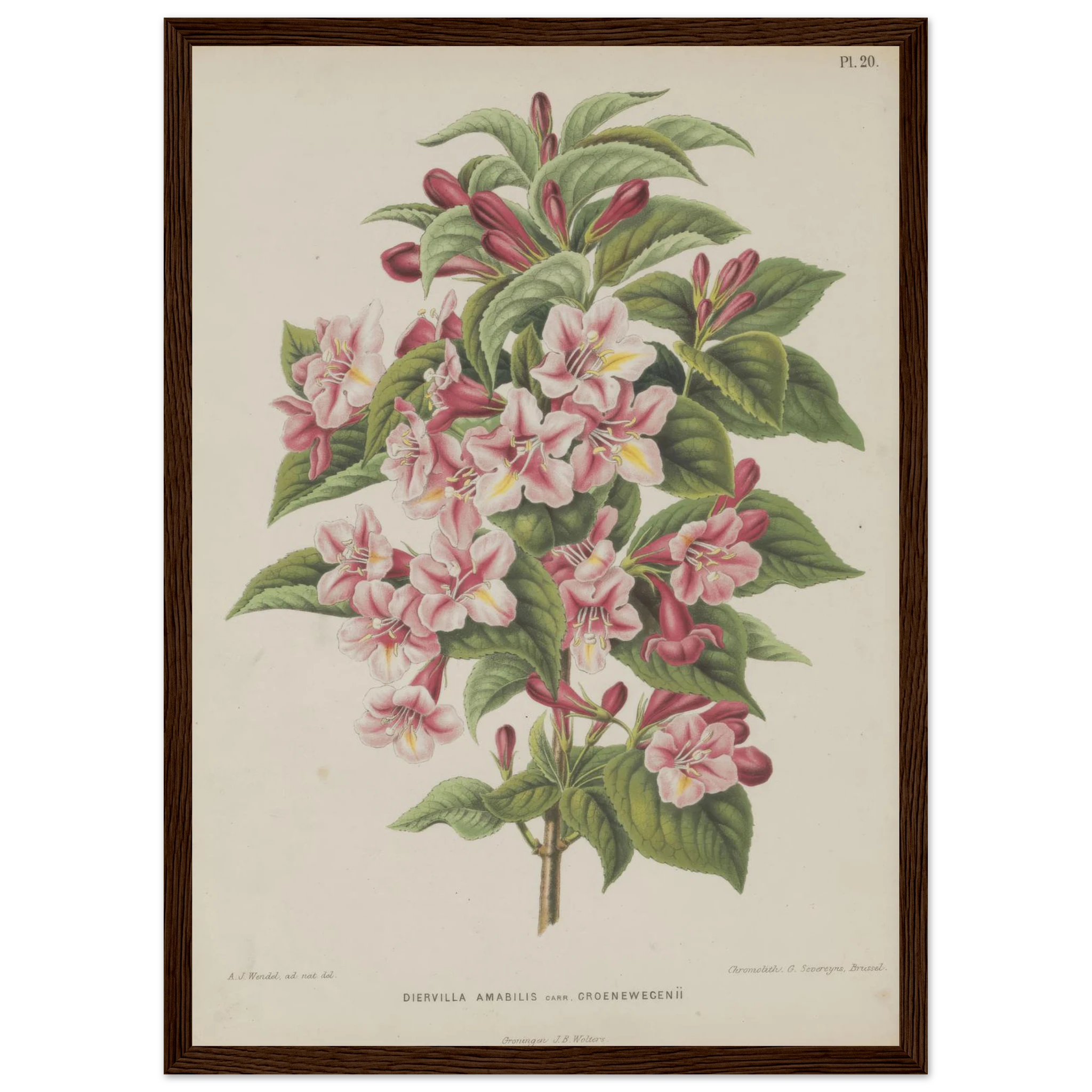 f293ac7a-b021-43c1-8463-c7e5e802d7bd