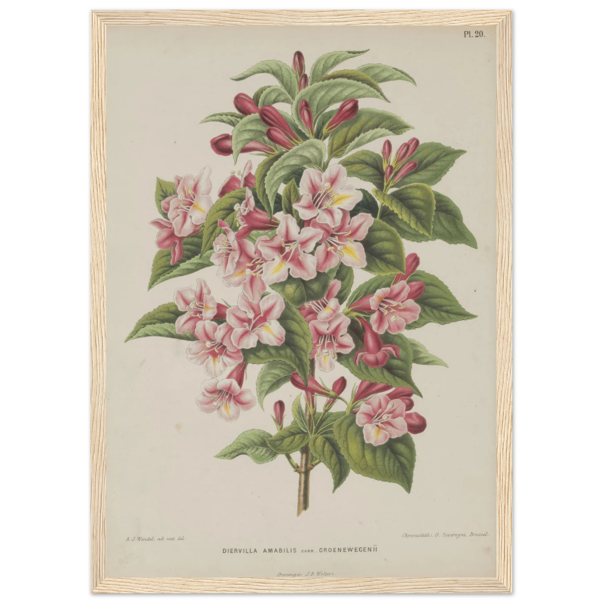 f2a52556-2e6d-4853-9759-993cb4cfcb44