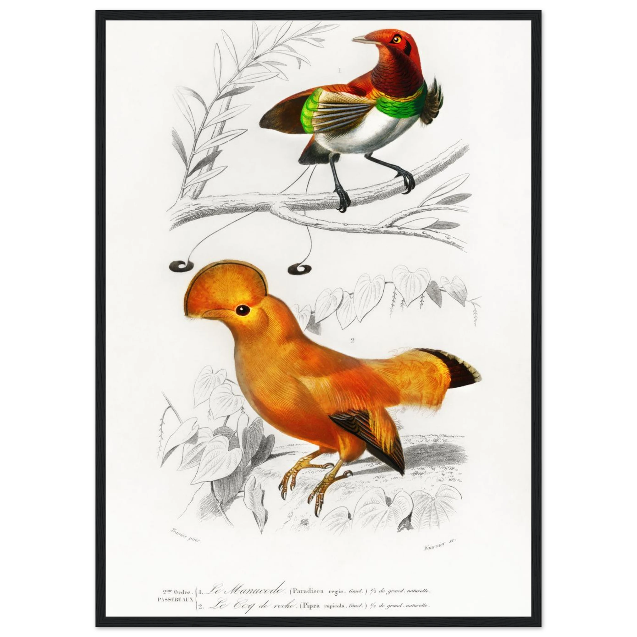 f2db8165-0568-4566-9a41-2f81c77a654b