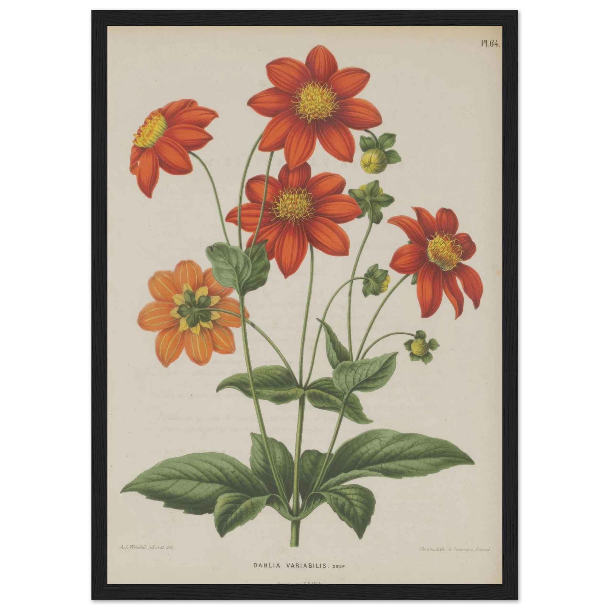 f3d4f323-69b5-4289-a7cc-68aad27549cf