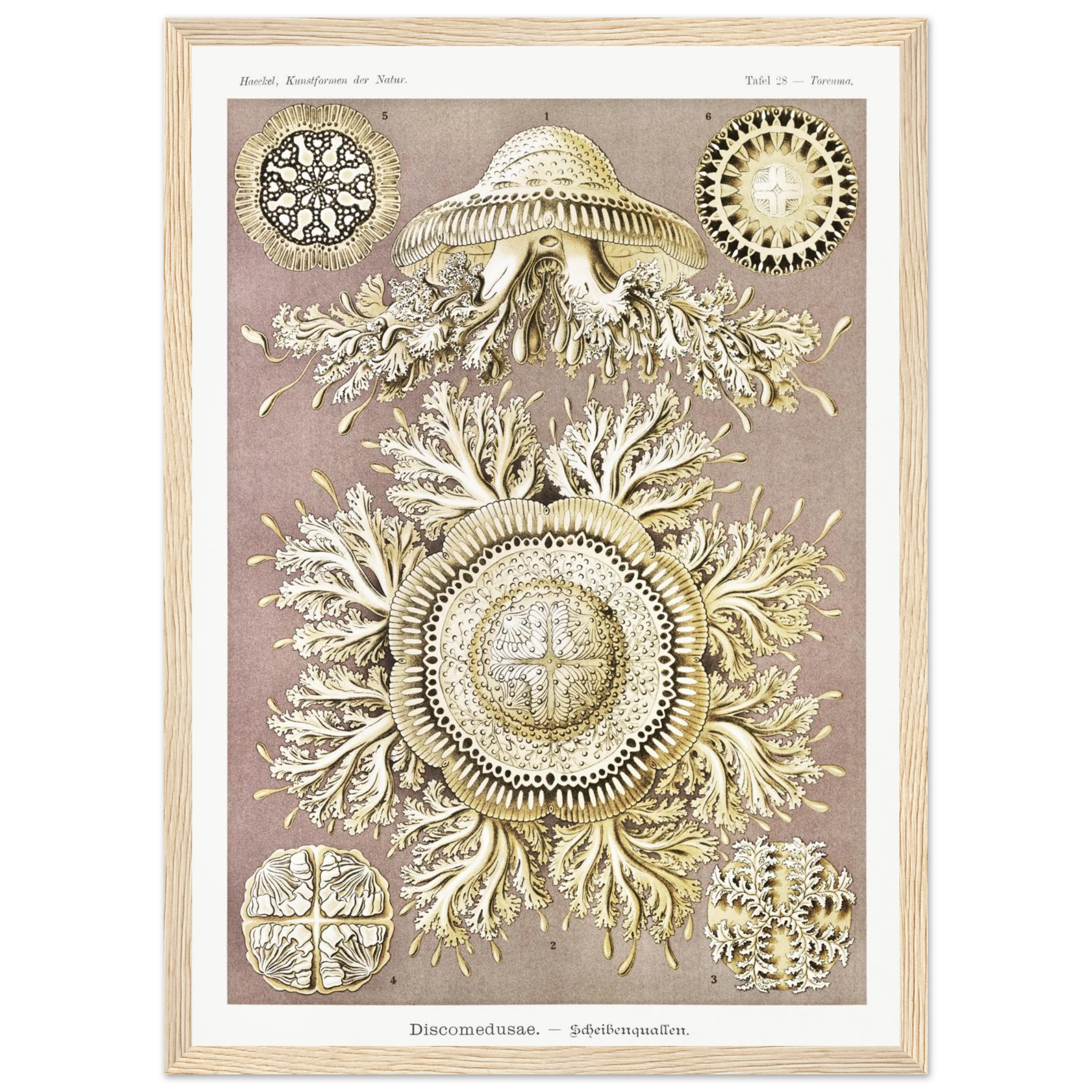 f4007cae-8ab2-4b54-9e21-0b45897919d8