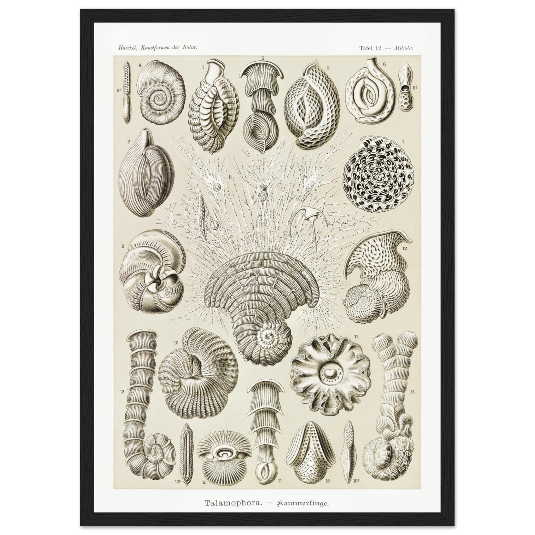 f4440799-f881-4cad-b277-d676752ed6f3