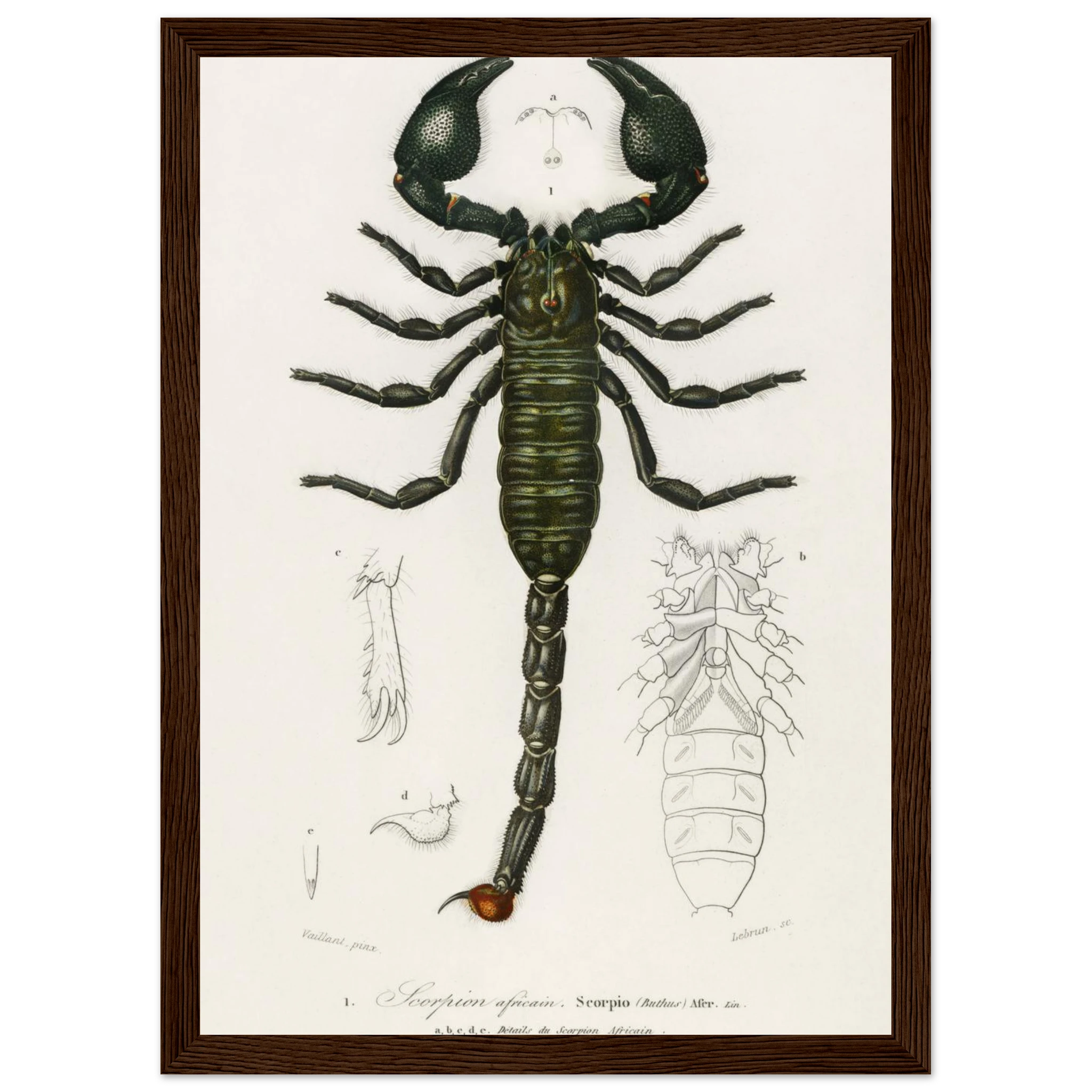 f4547ed7-53d6-44f4-ad59-24b61b7fd624