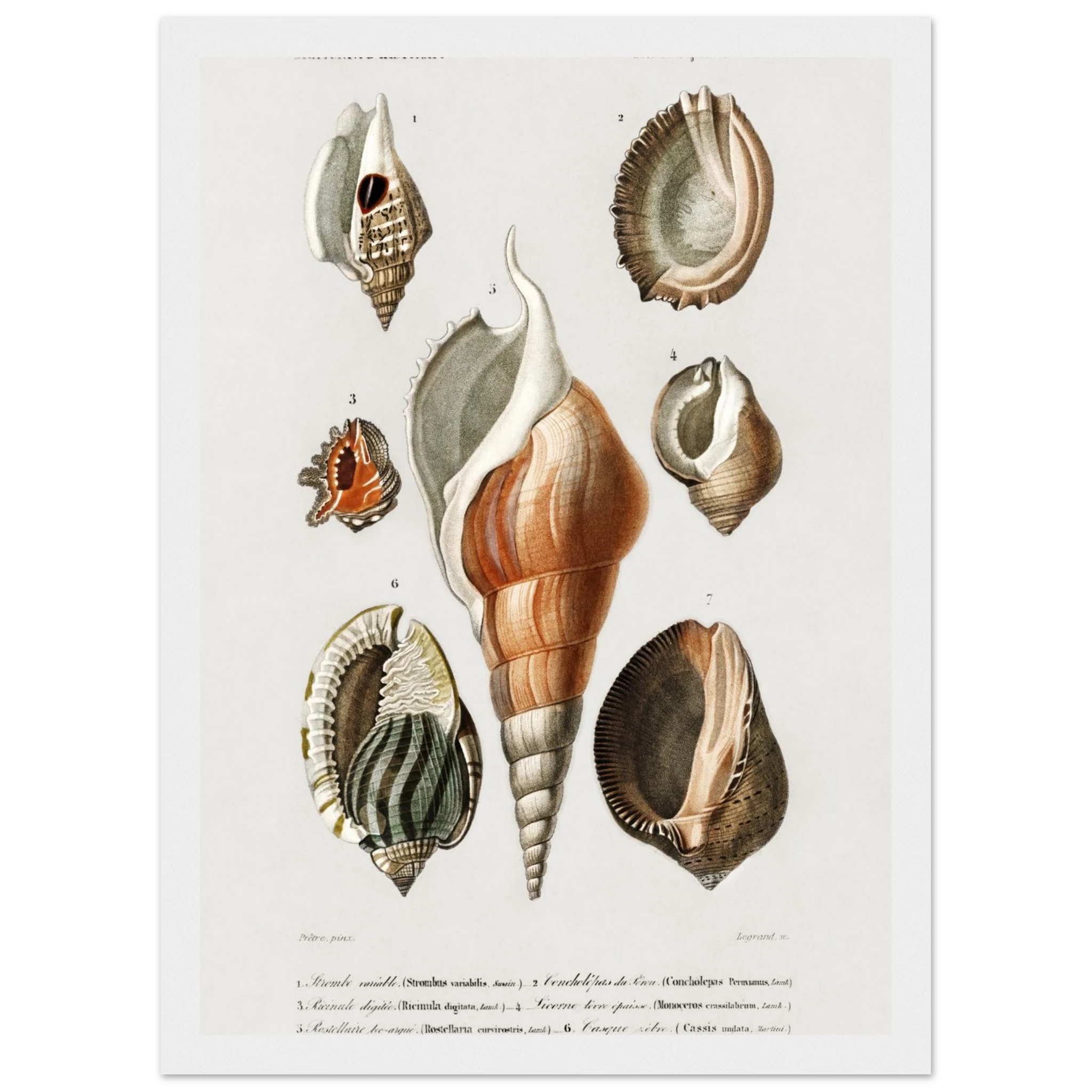 f485ffe7-32df-4495-aa15-6913a69f31cc