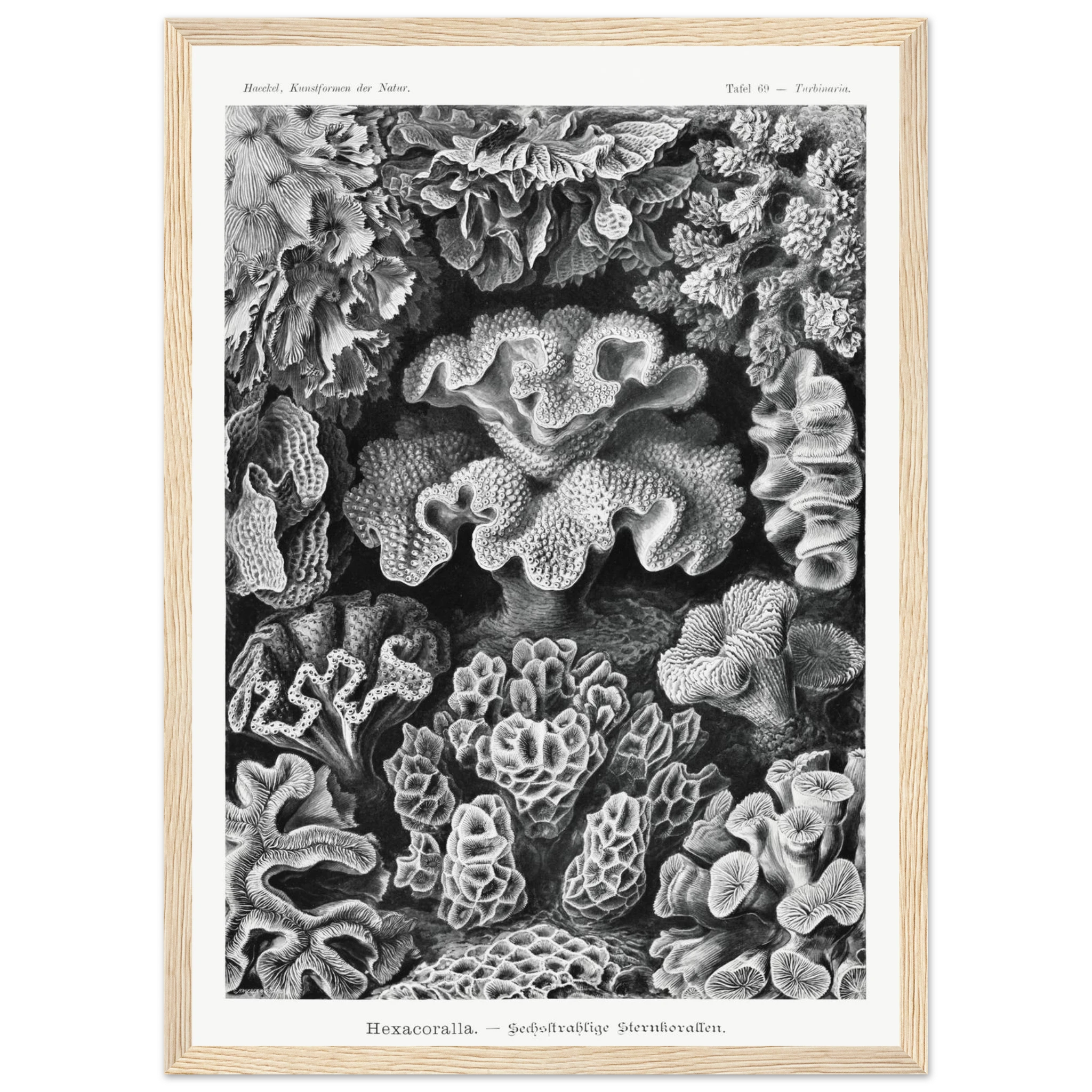 f4a20a64-b6d4-4930-89a1-9e87ac744d5c