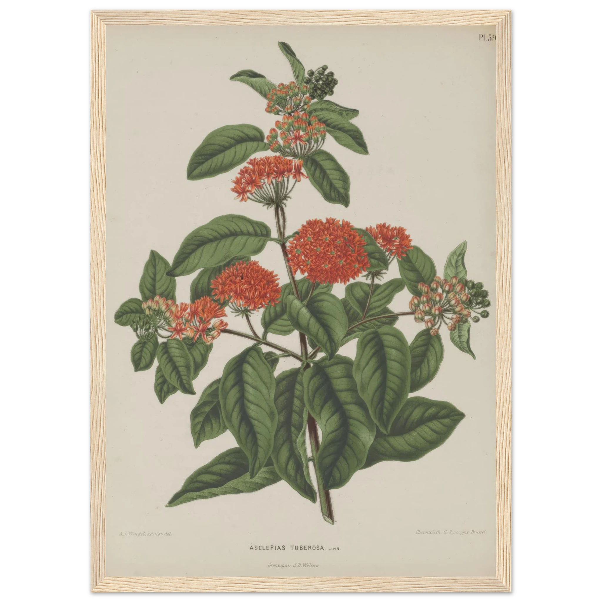 f50d1e14-db9a-4210-8803-fbd3d22694dc