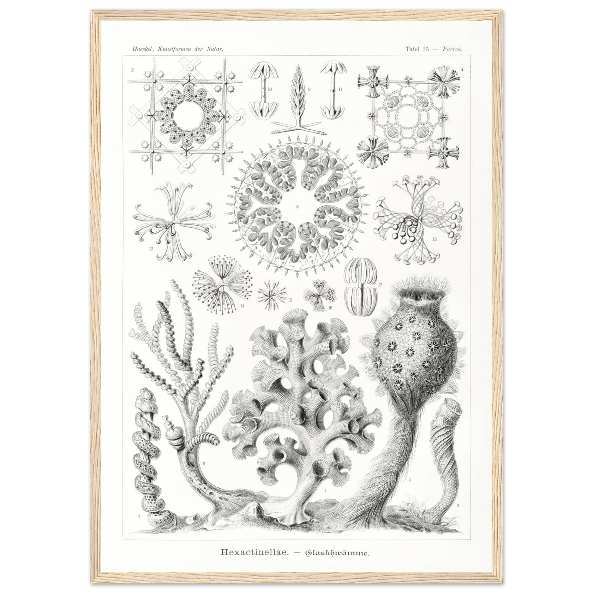 f535da1b-966a-4010-b7ee-ed589c46597e