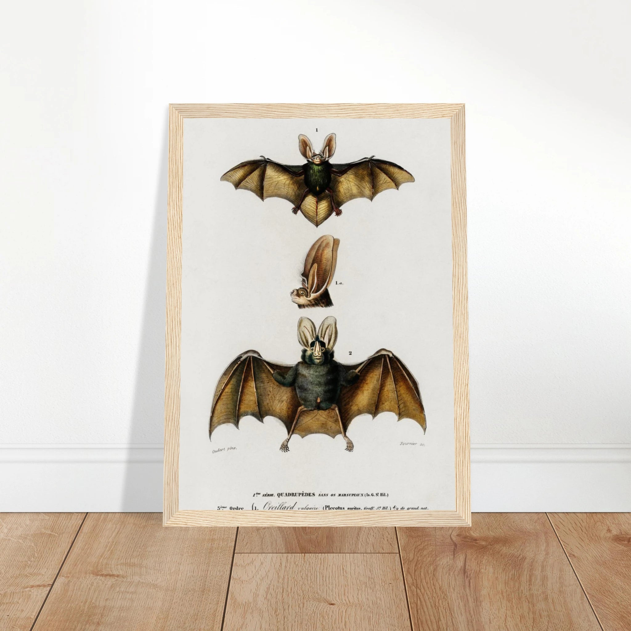 f58d52e7-a996-4951-b5c9-1c66f69f644e