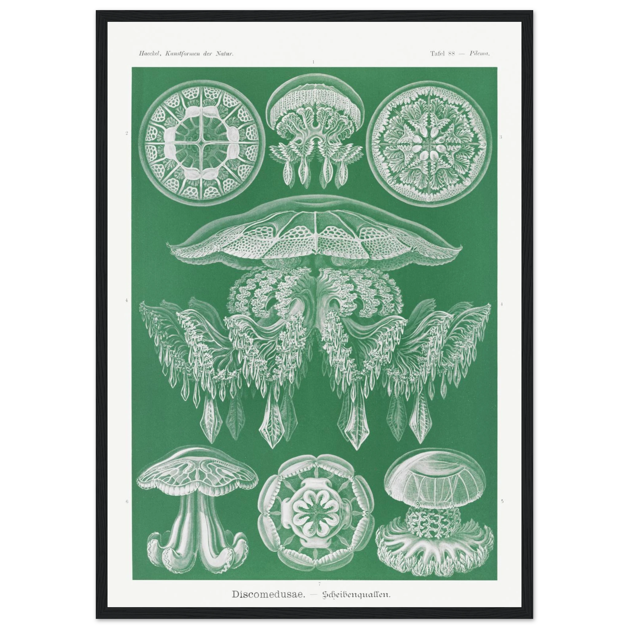 f5a50ab9-d239-4746-99ae-a93ad75a16fc